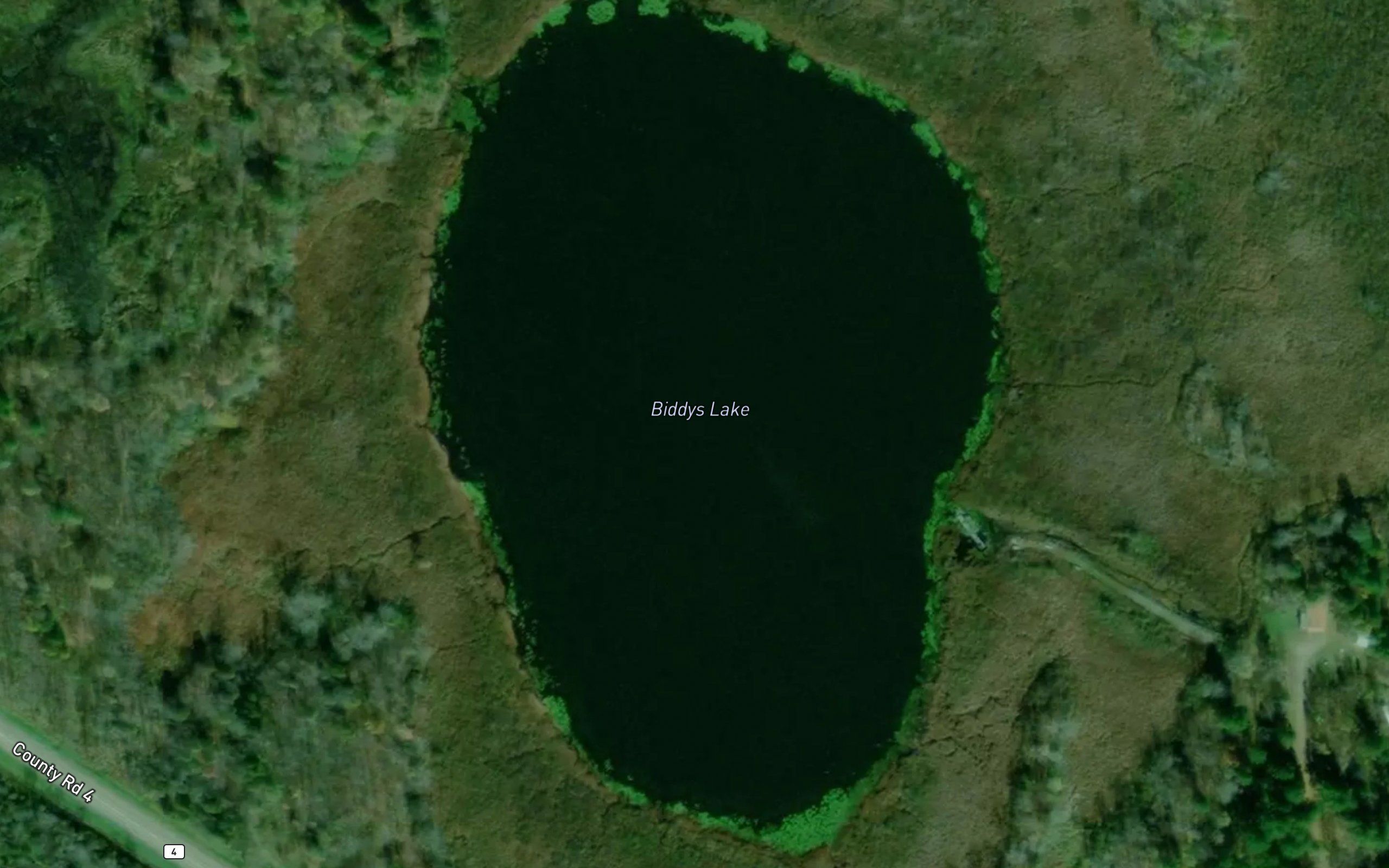 Biddys Lake