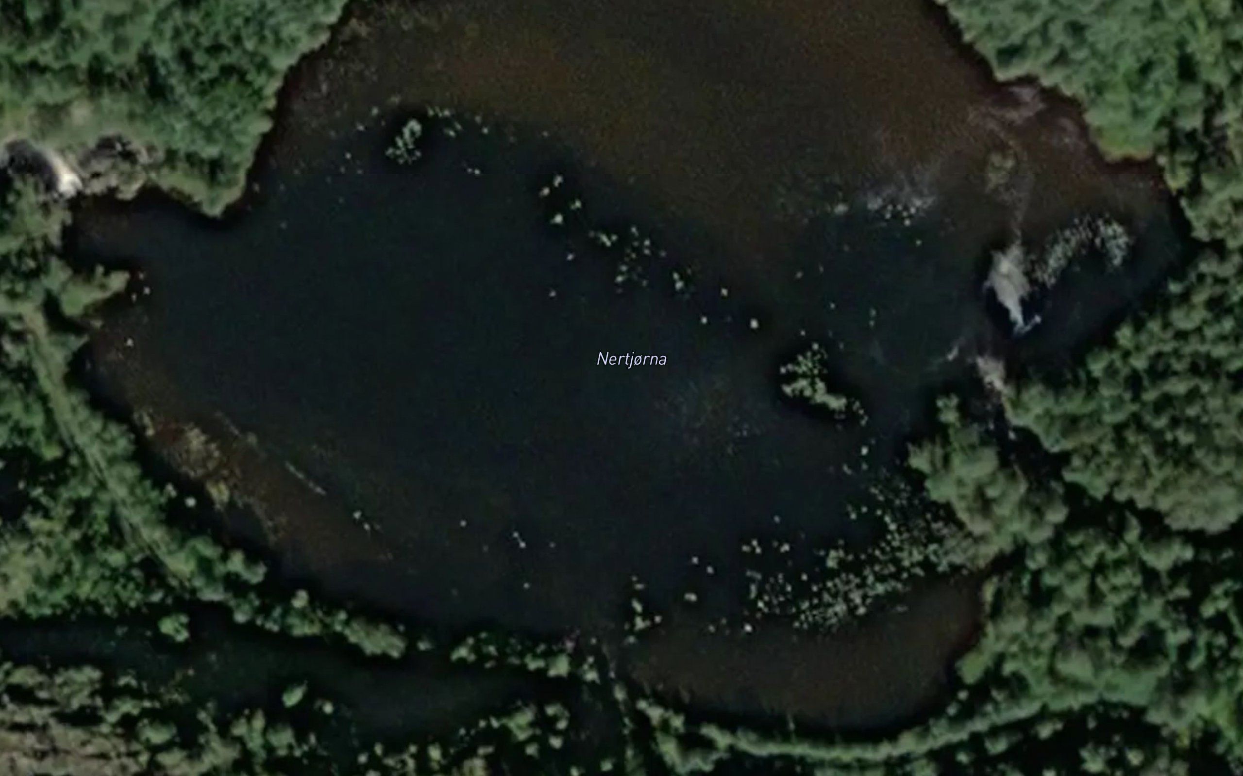Nertjorna