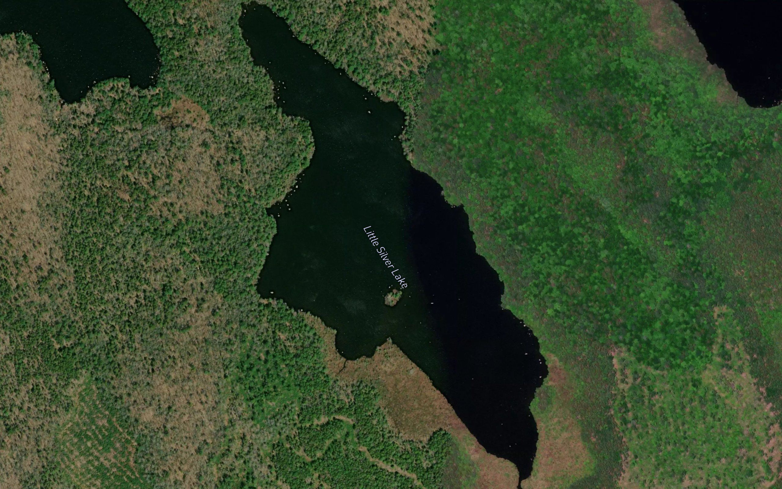 Little Silver Lake