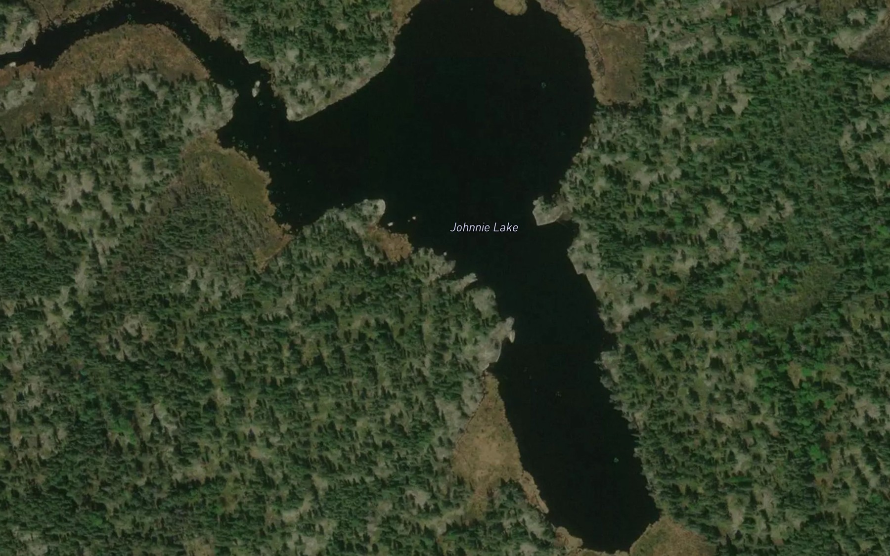 Satellite map of the Johnnie Lake