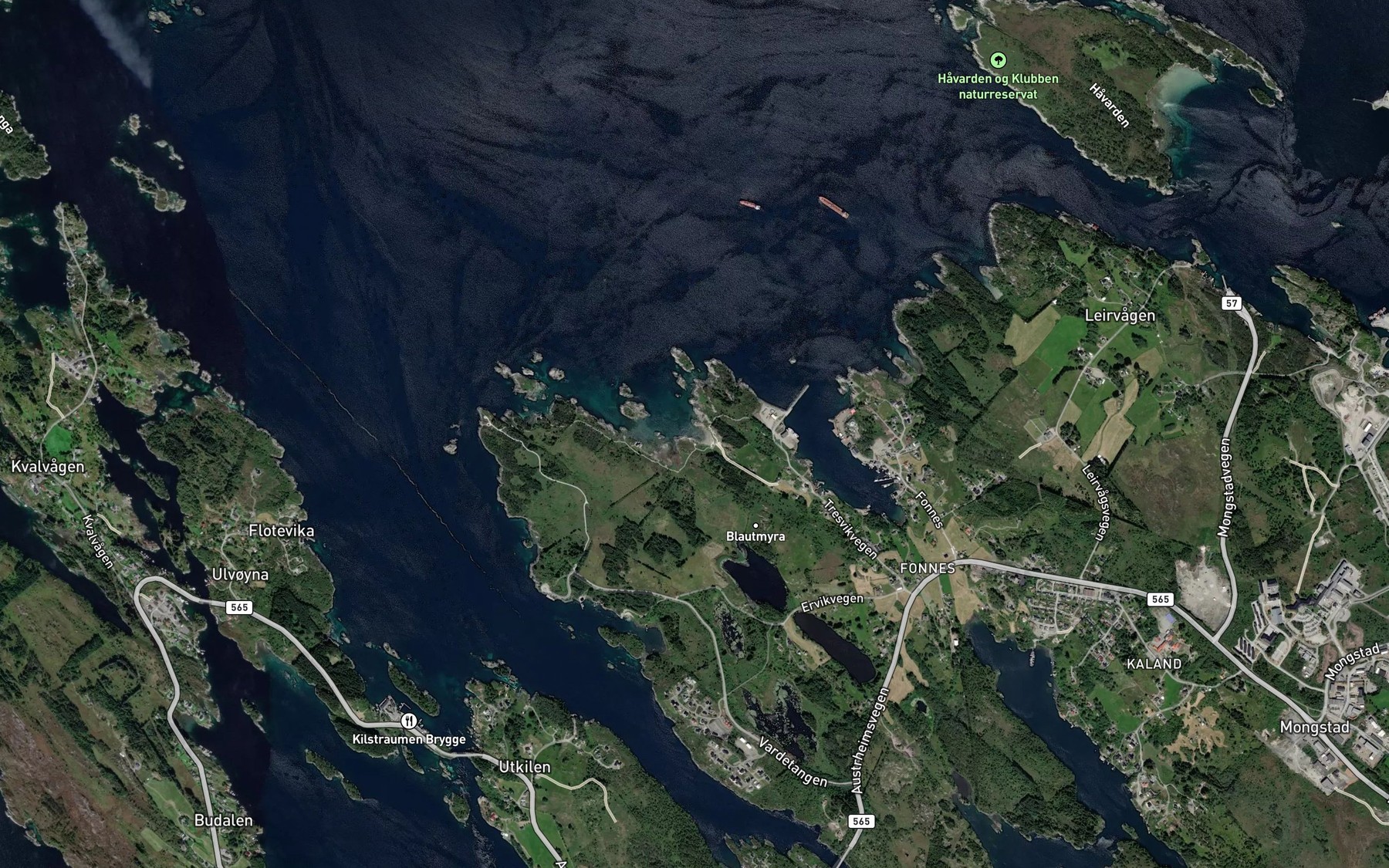 Satellite map of the Arevika