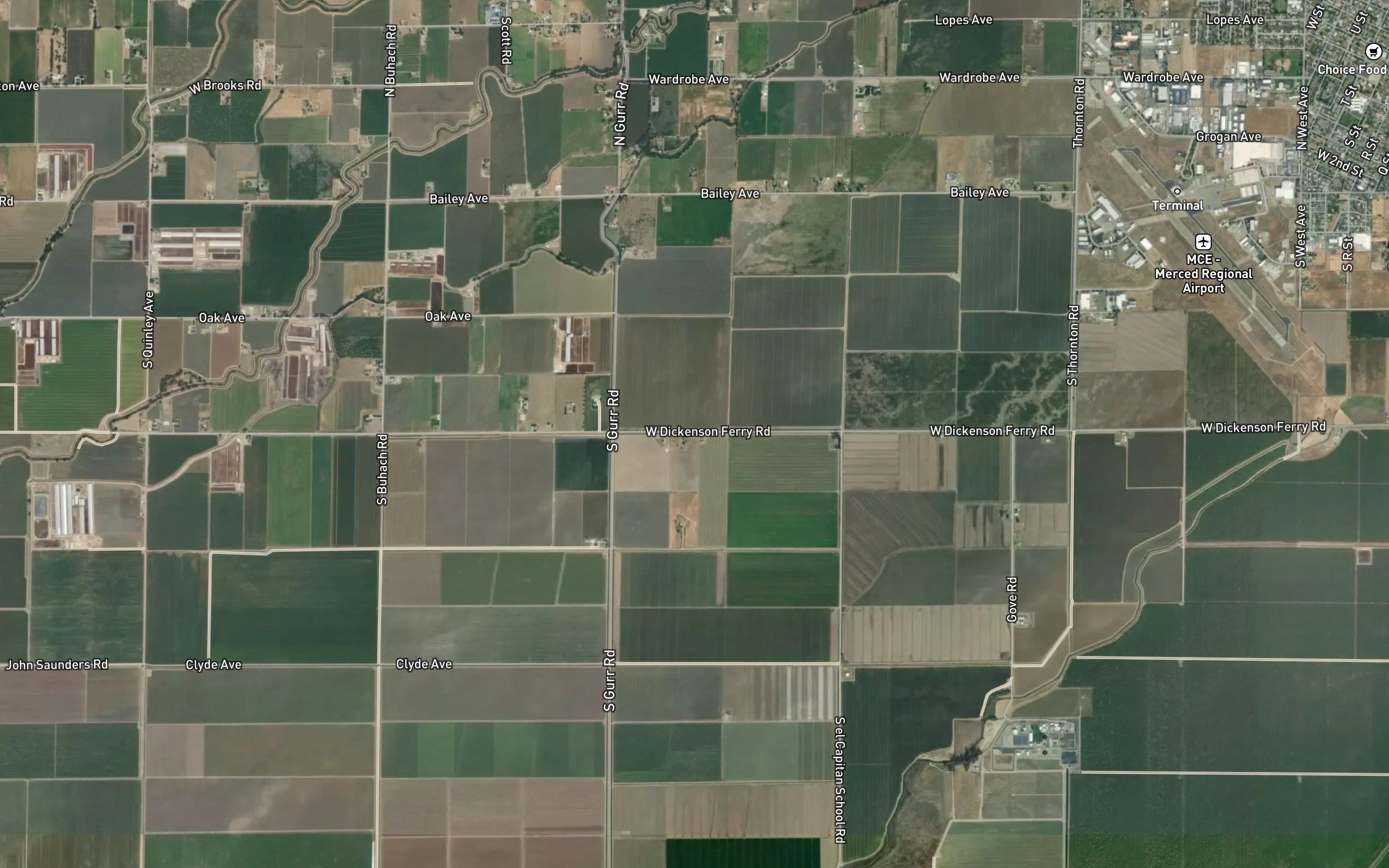 Pilger Lateral