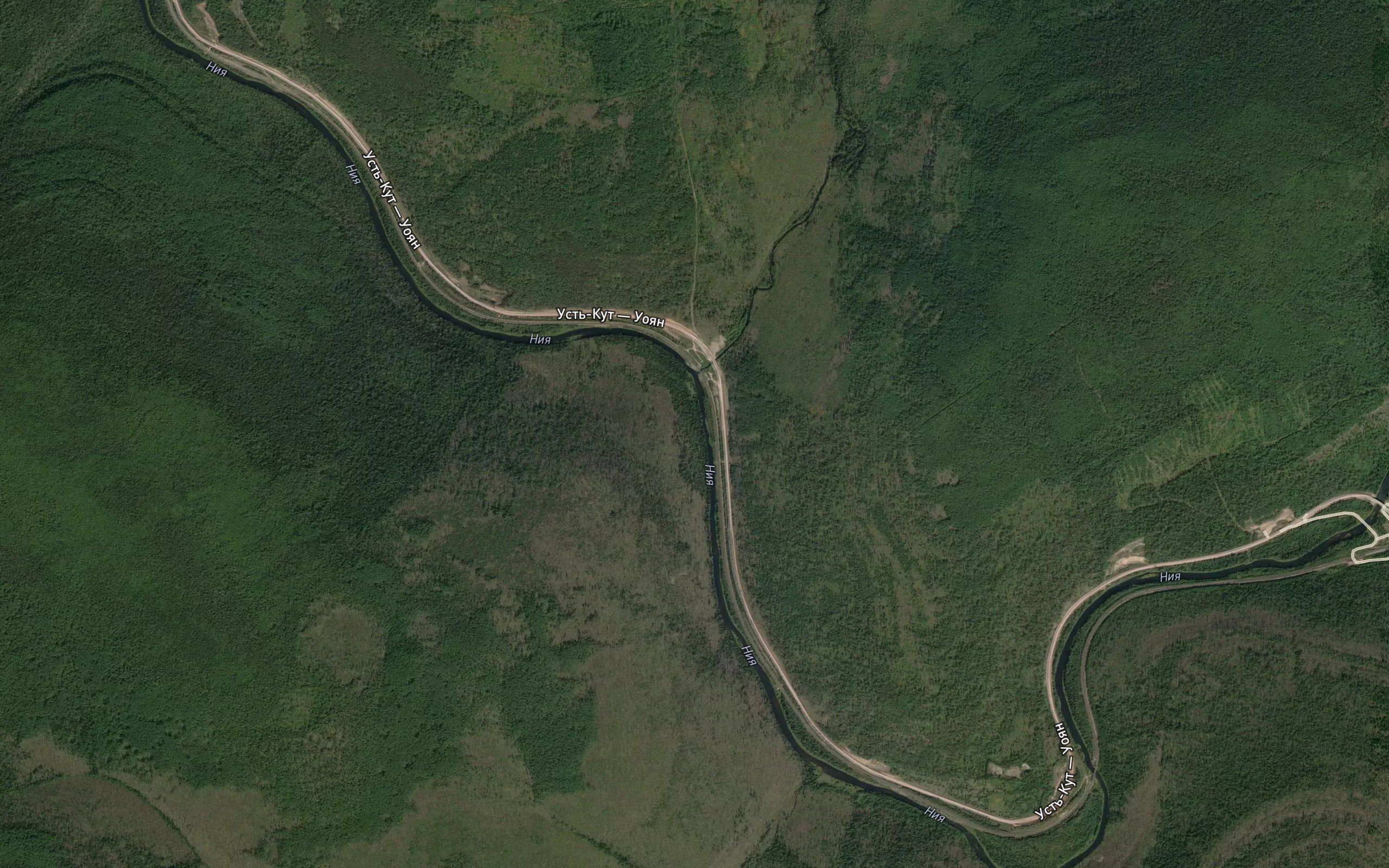 Zhilinnaya