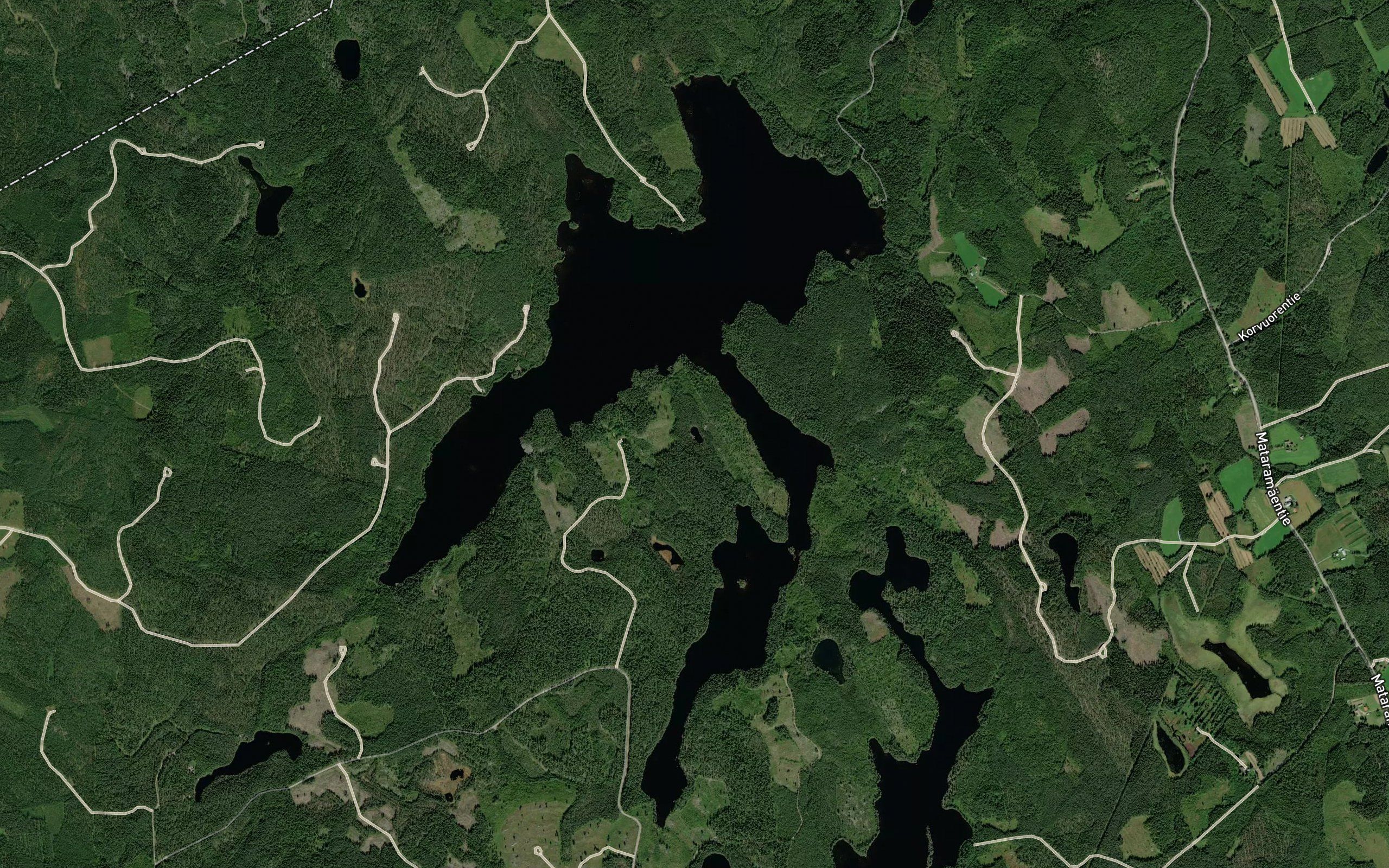 Pienenpyoreanapaja