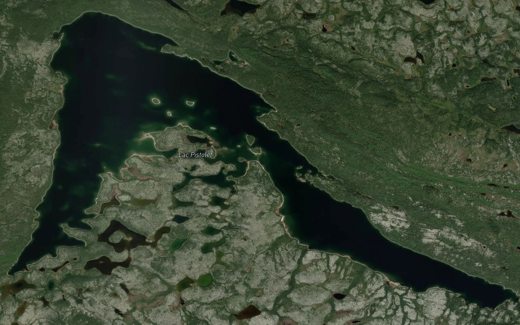 Satellite map of the Lac Pistolet