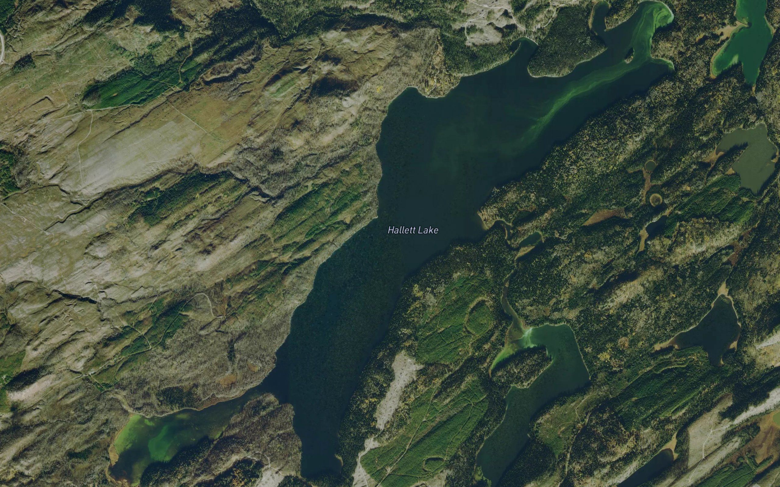 Hallett Lake
