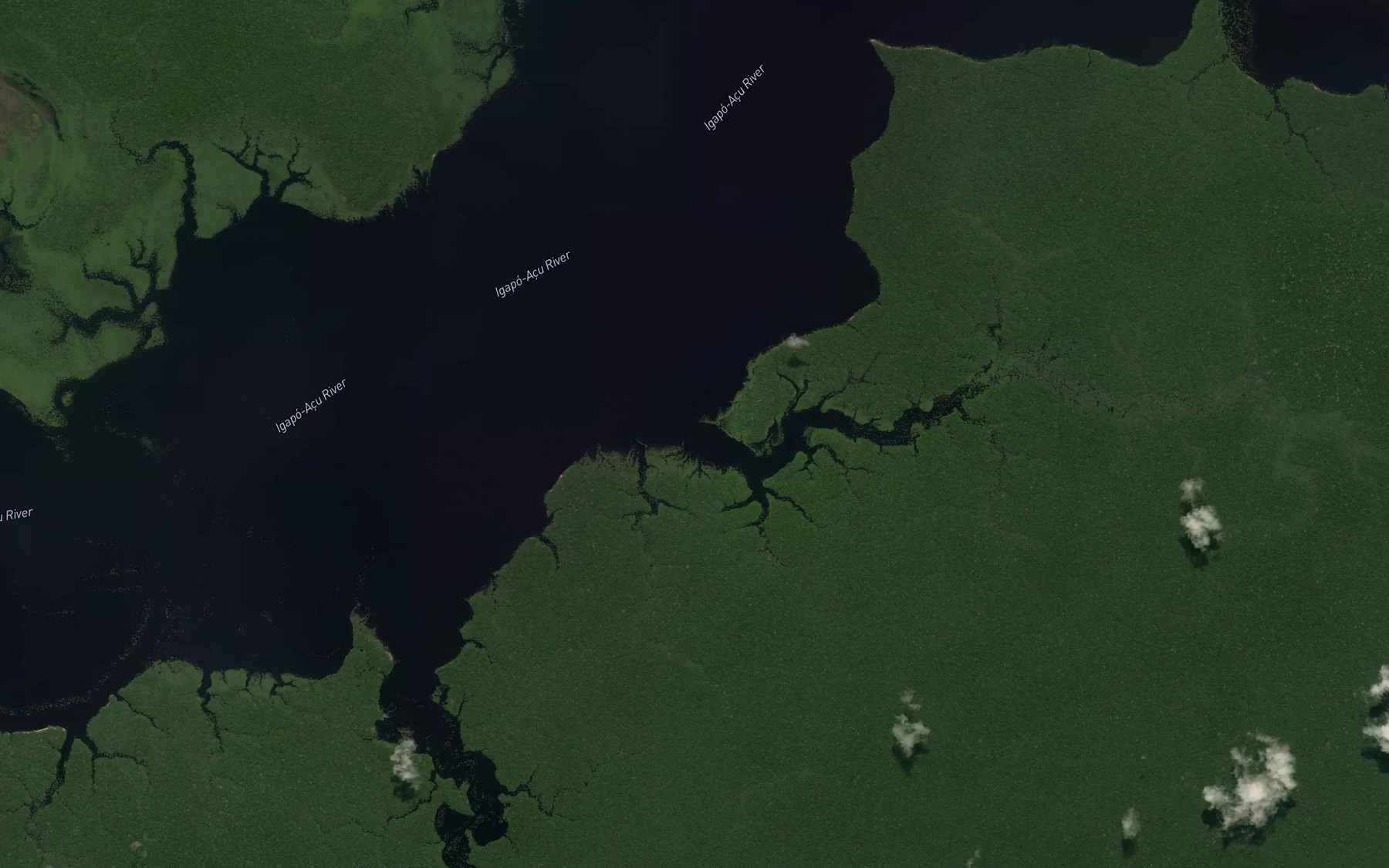 Satellite map of the Igarape da Joaquina