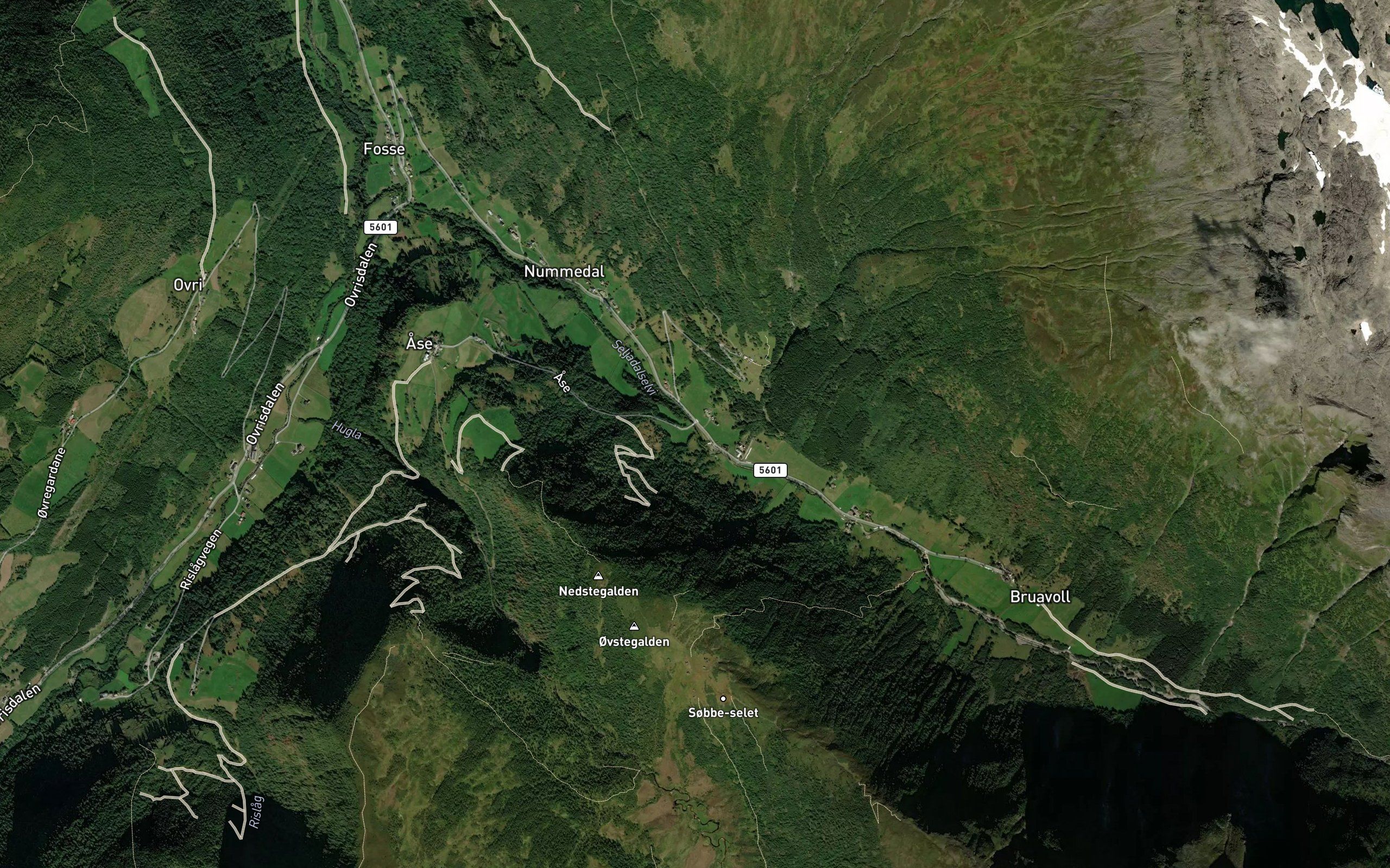 Seljedalselvi