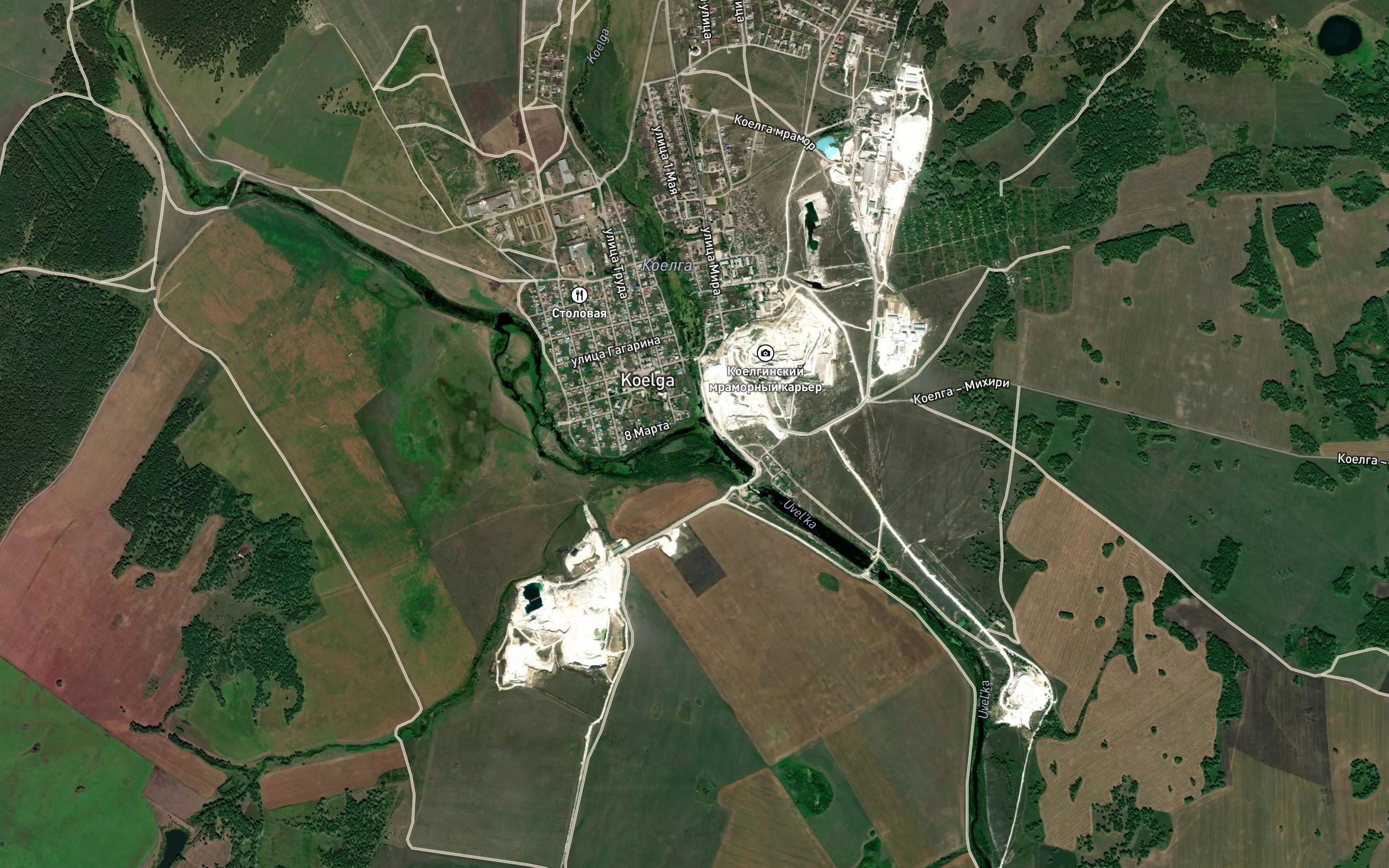 Koyelga