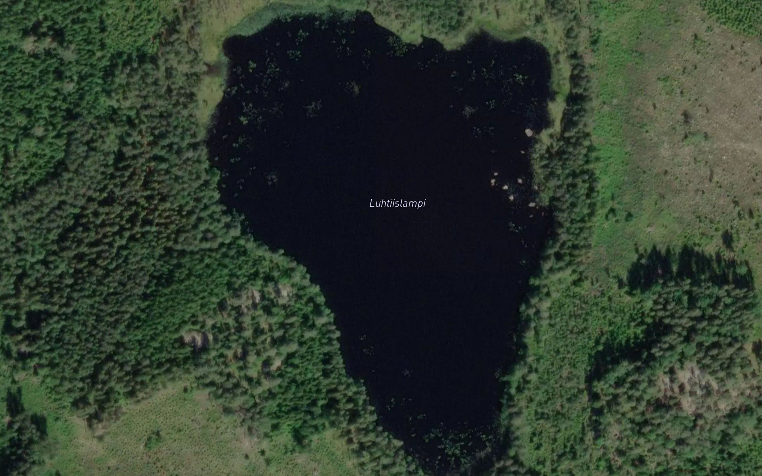 Luhtiislampi