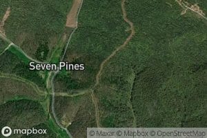 George Williams Spring