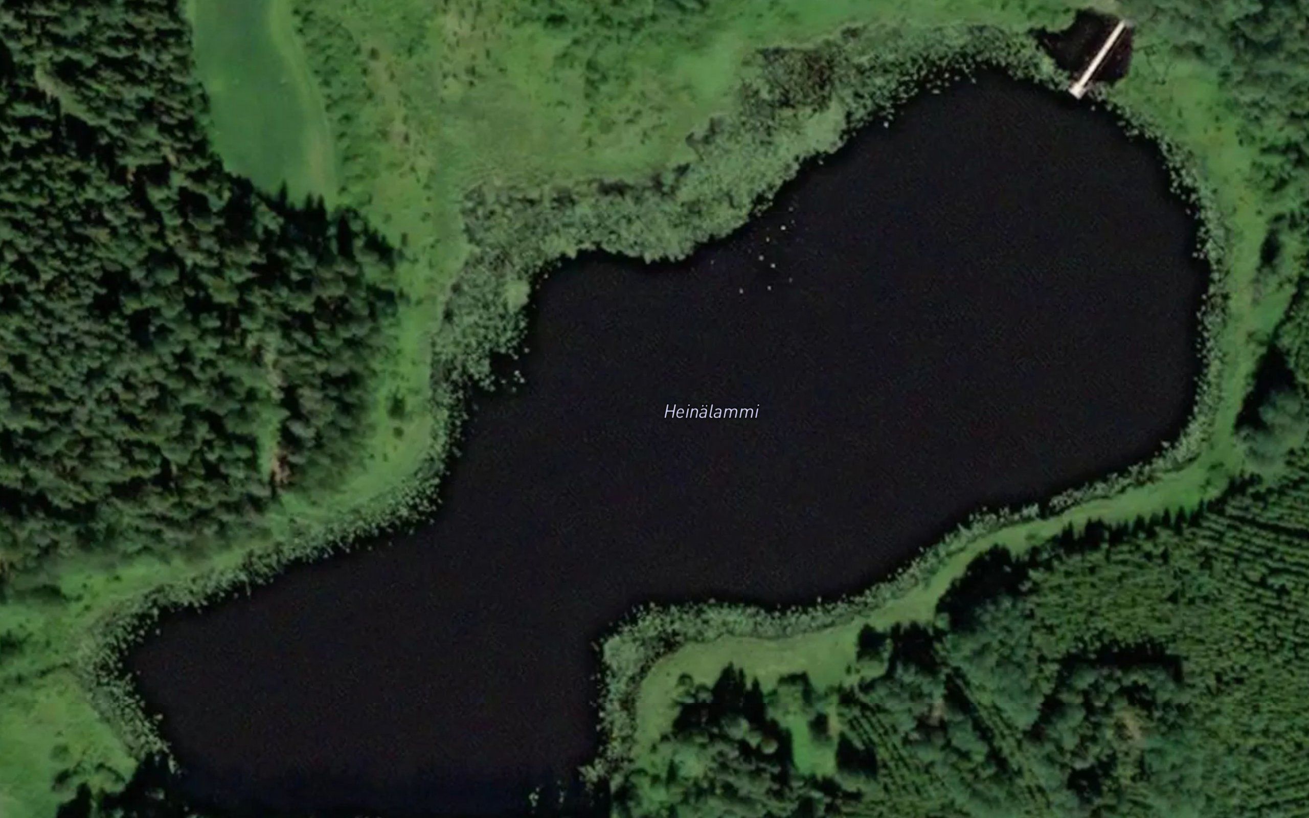 Heinalammi