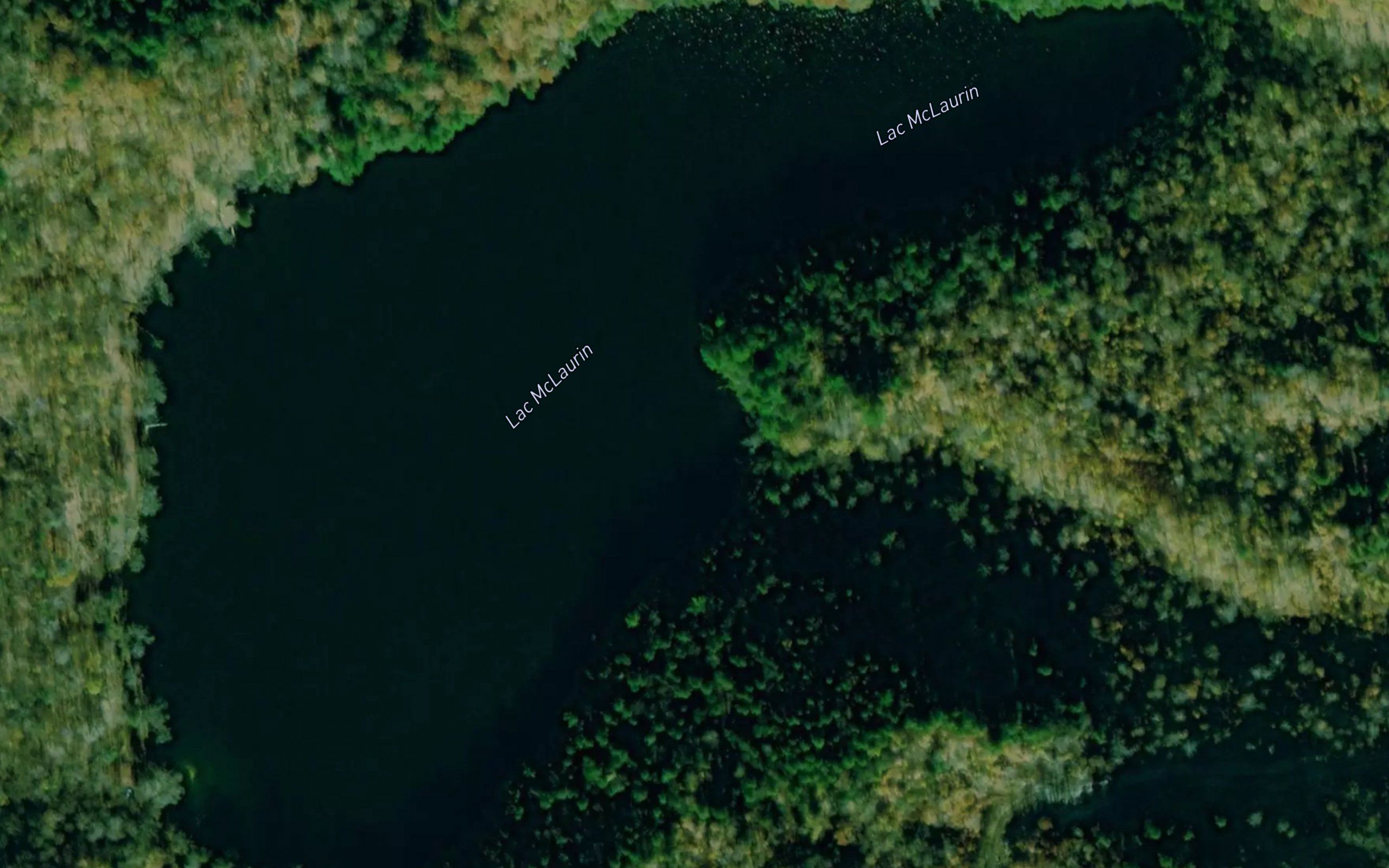 Lac McLaurin