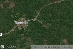 Pangulu