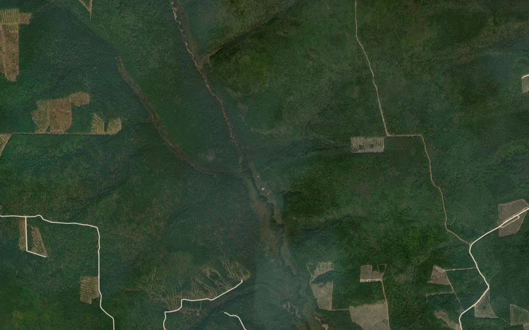 Satellite map of the Nadein