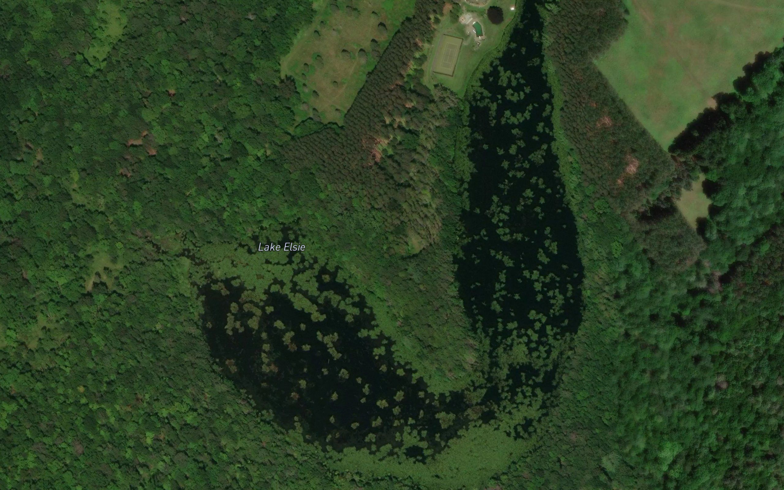 Lake Elsie