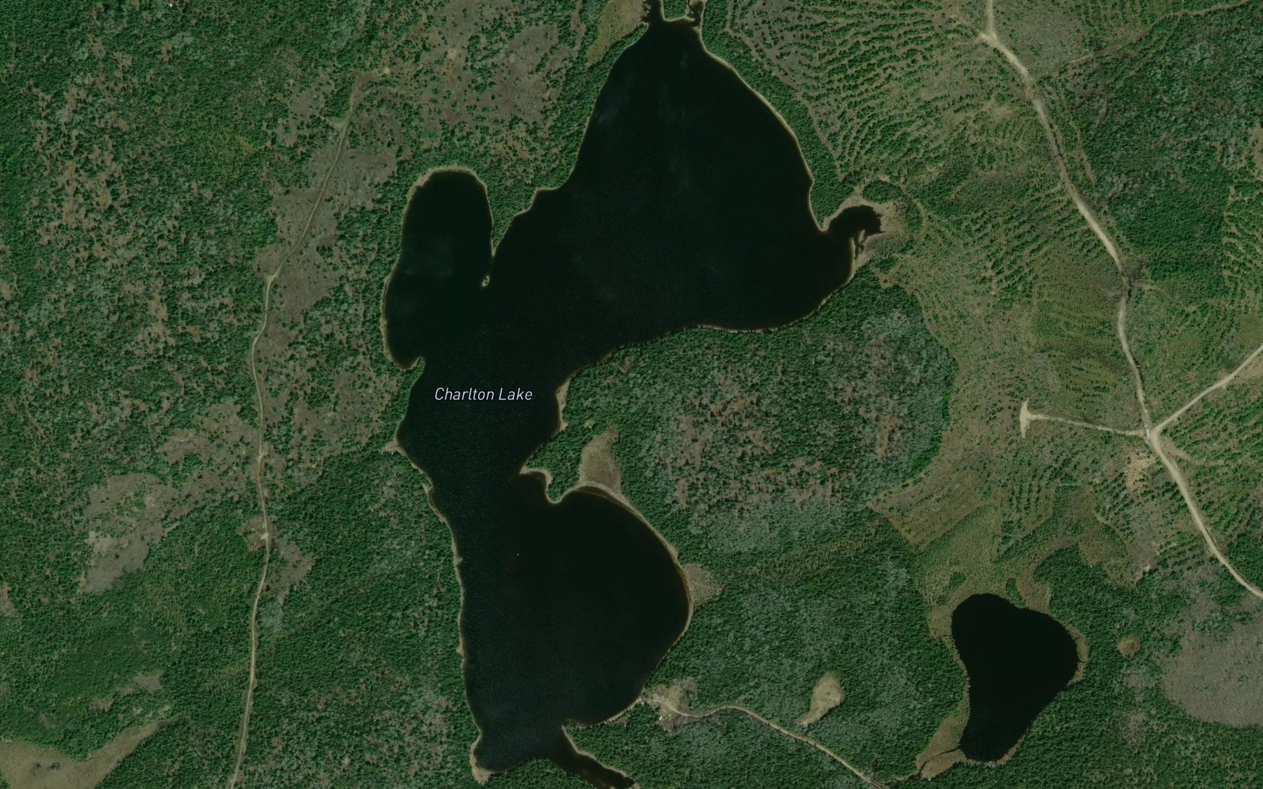 Satellite map of the Charlton Lake