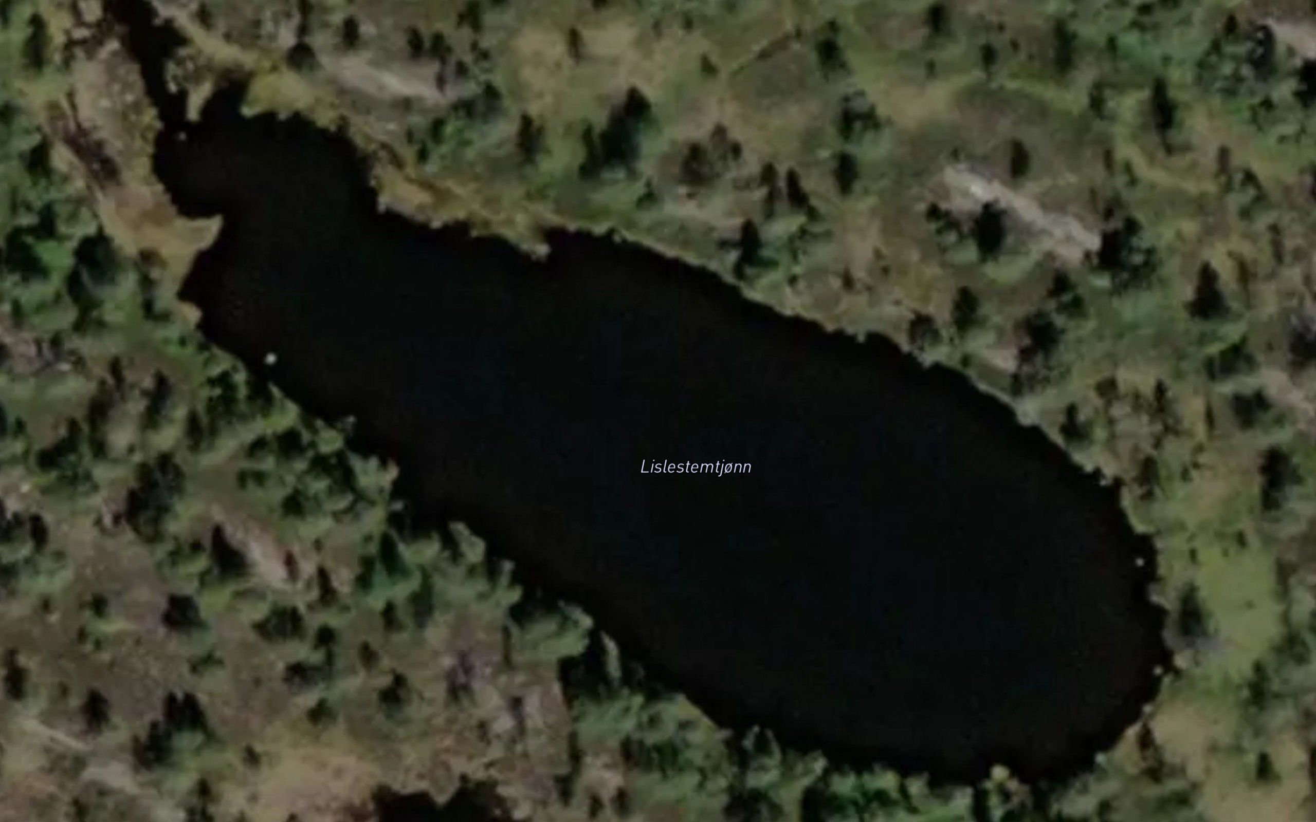 Stemtjorn,litle