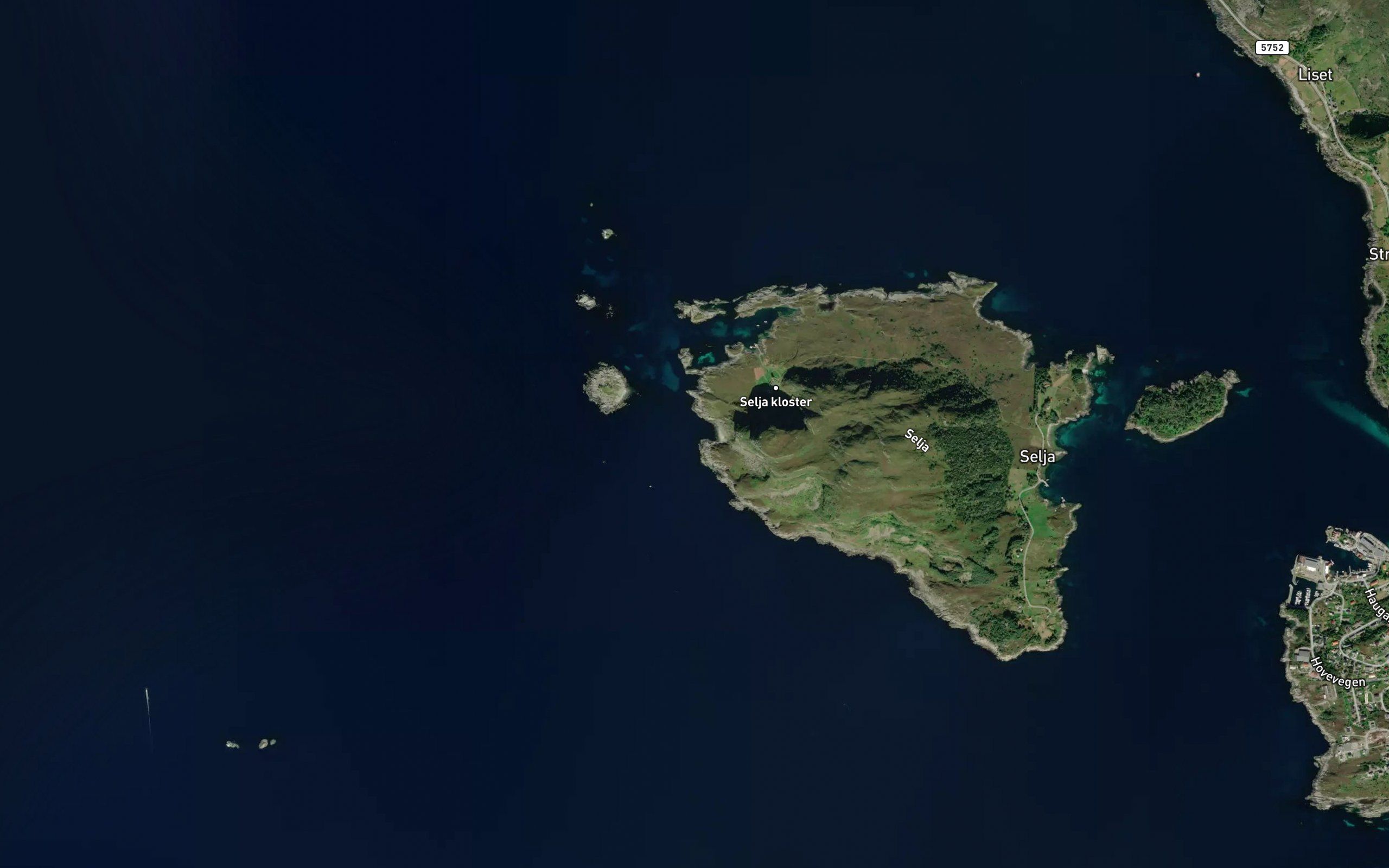 Yksnevika