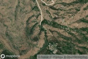 Bailey Spring