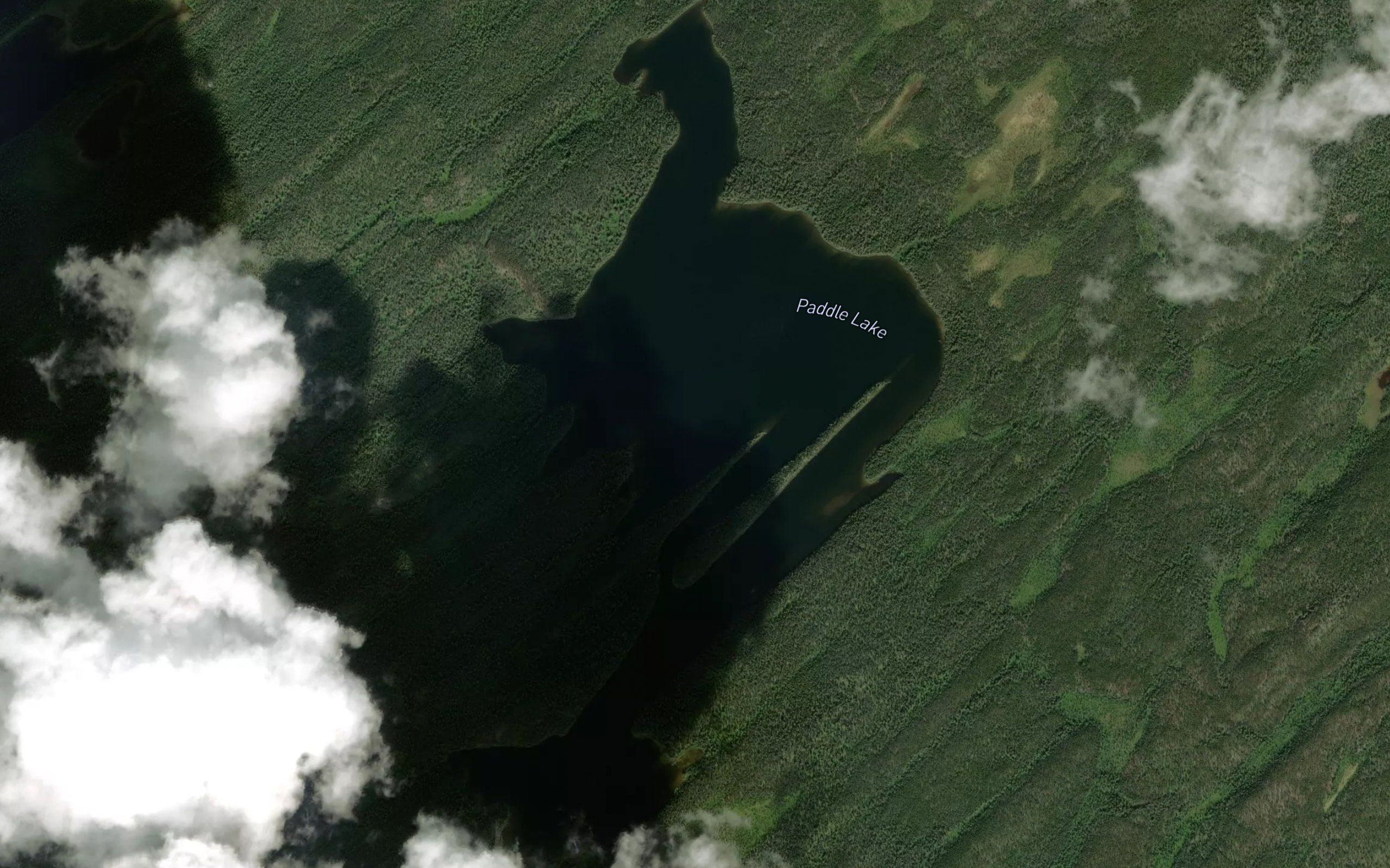 Paddle Lake
