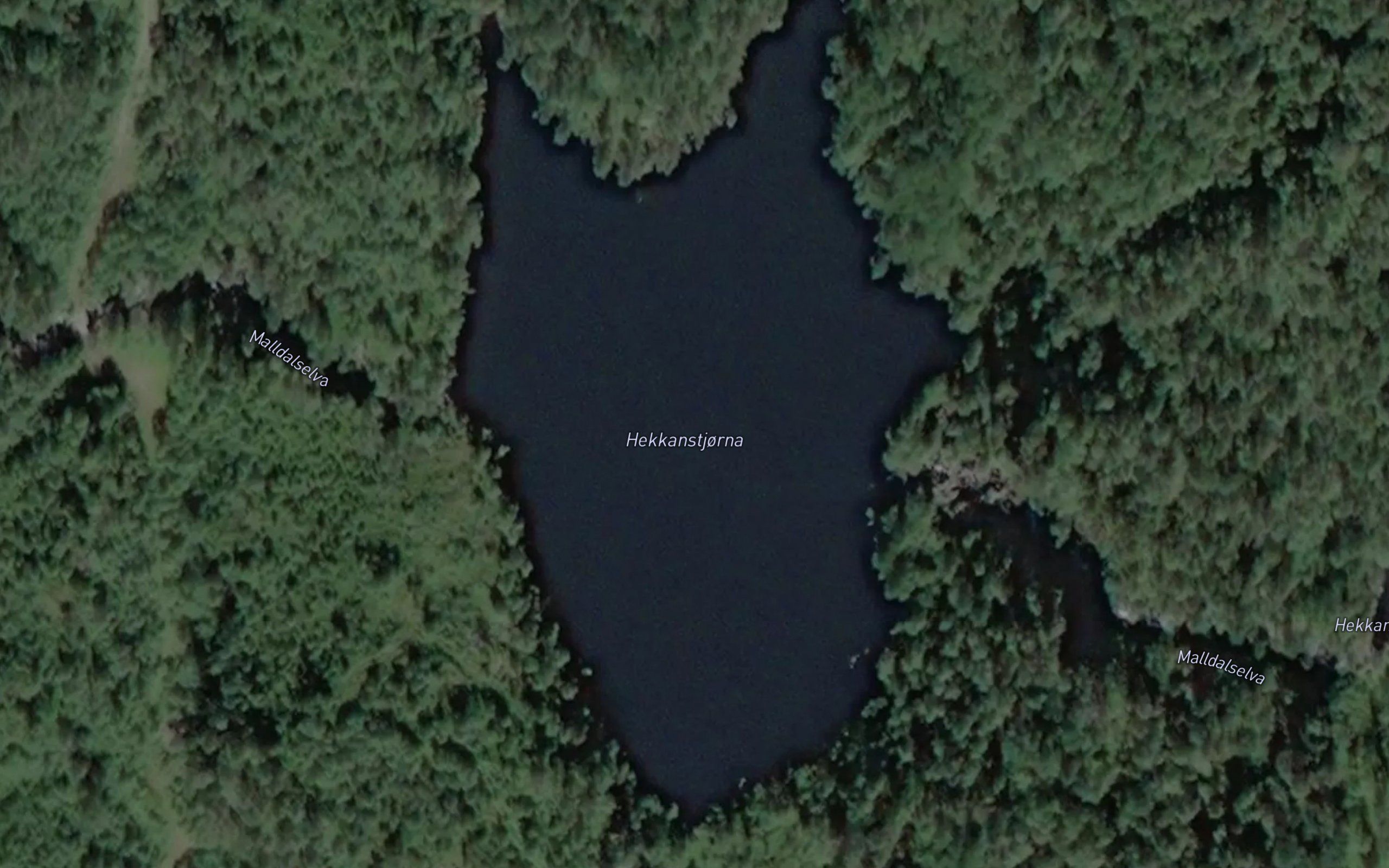 Hekkanstjorna