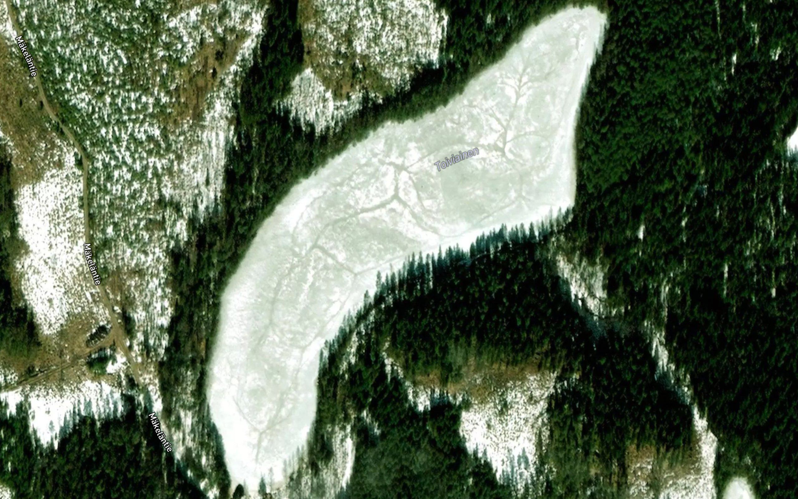Toiviainen