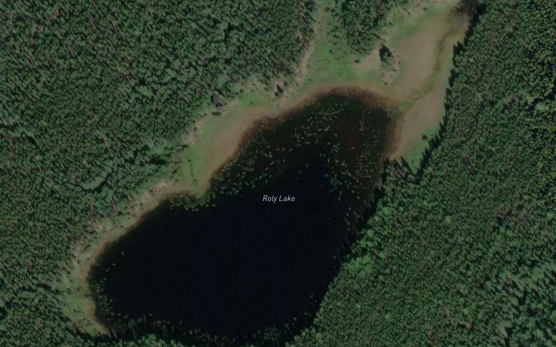 Satellite map of the Roly Lake