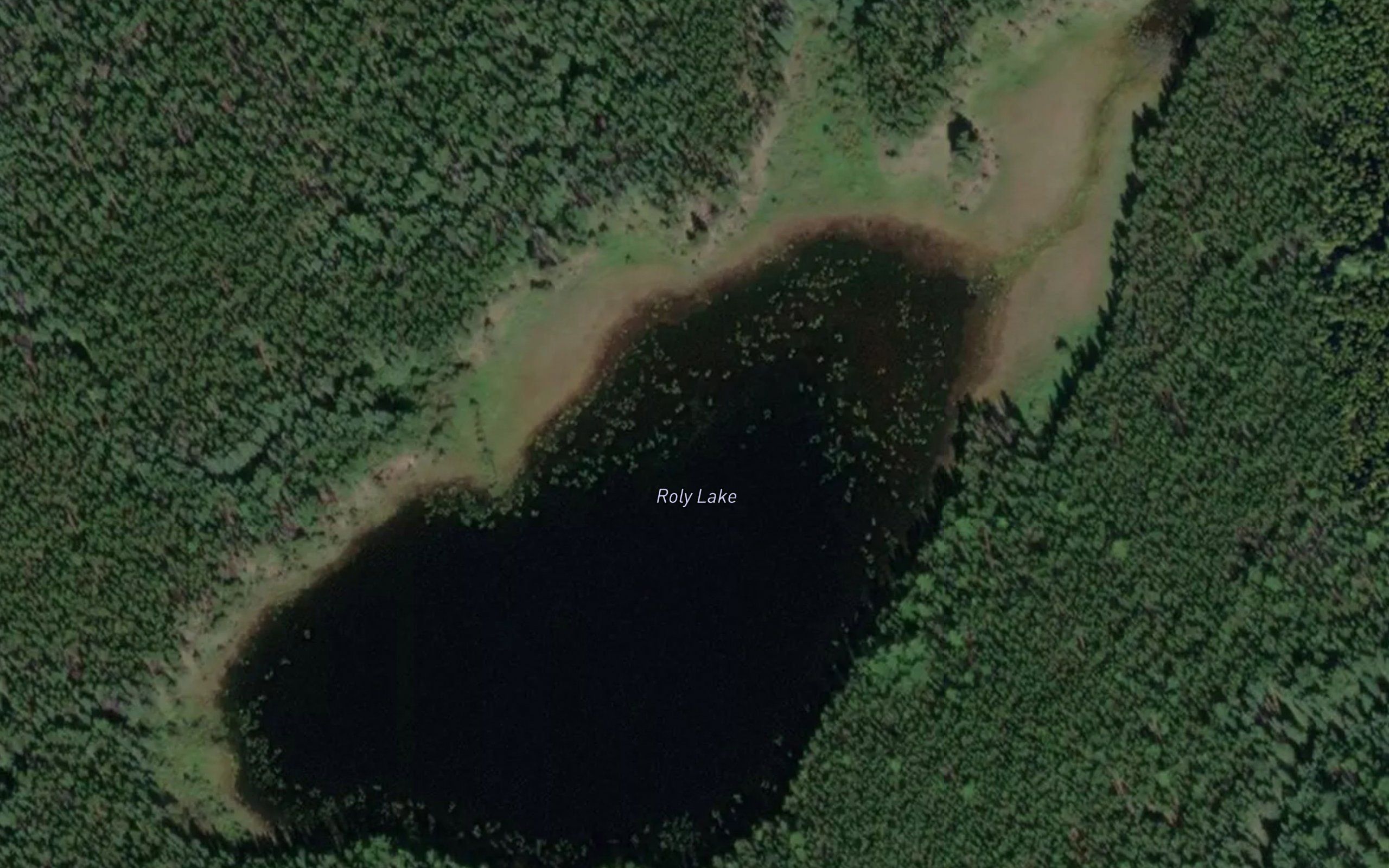 Roly Lake