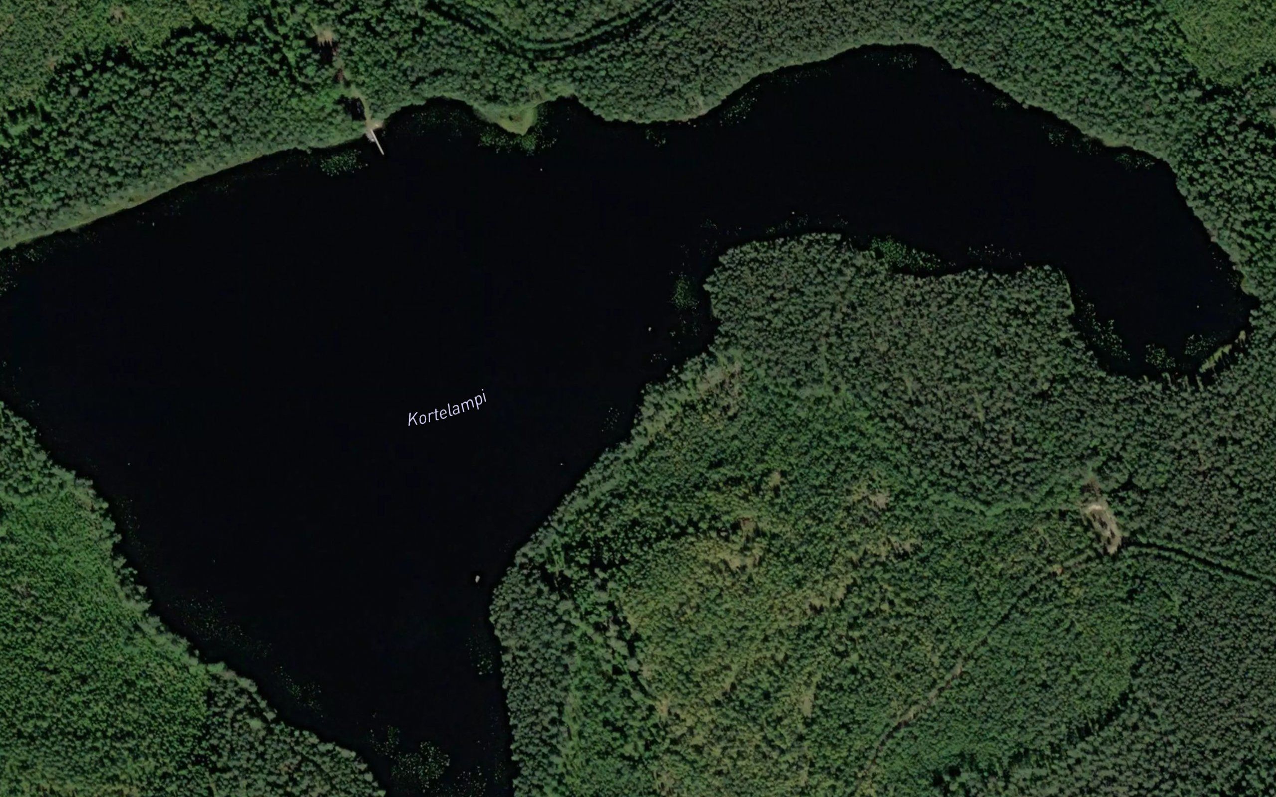 Kortelampi