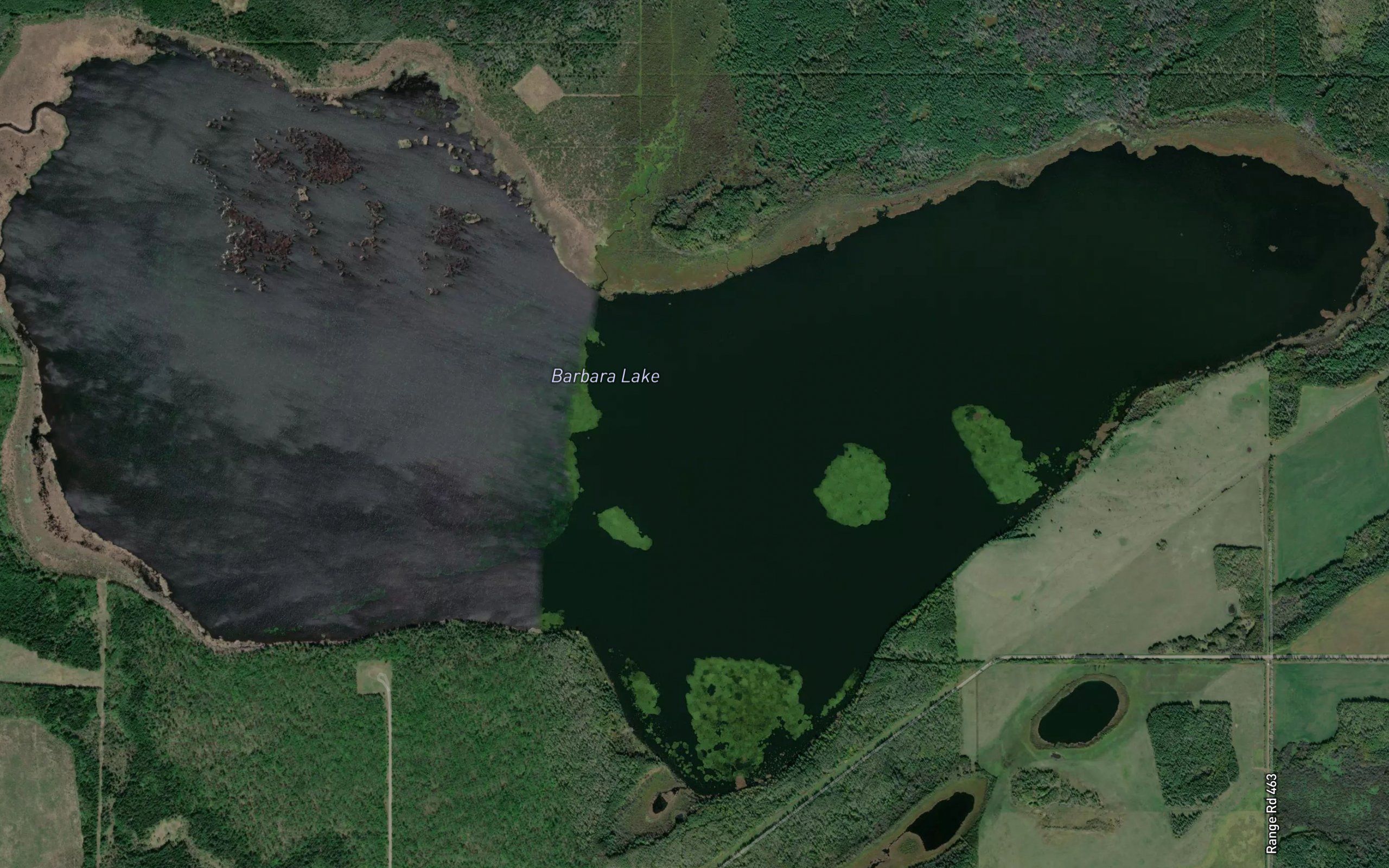 Barbara Lake