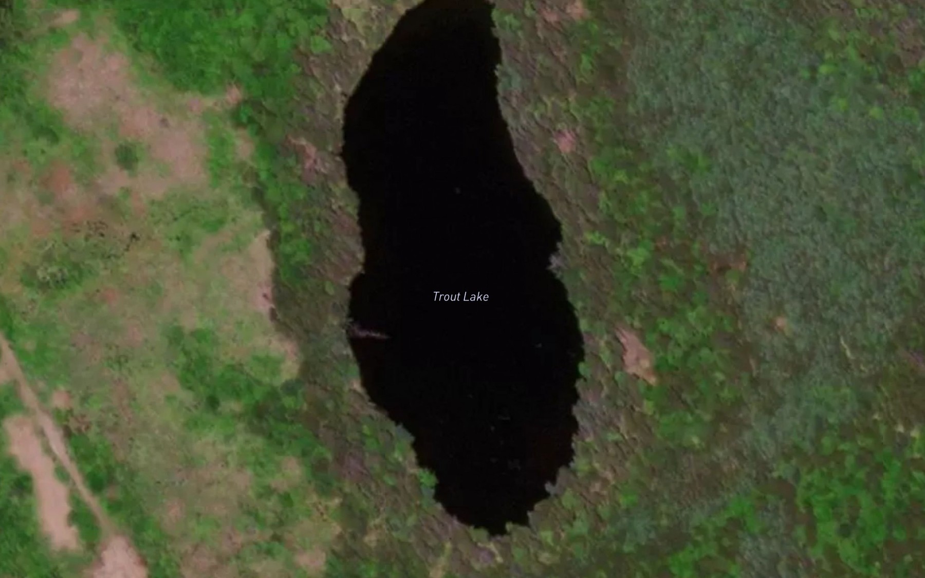 Satellite map of the Trout Lake