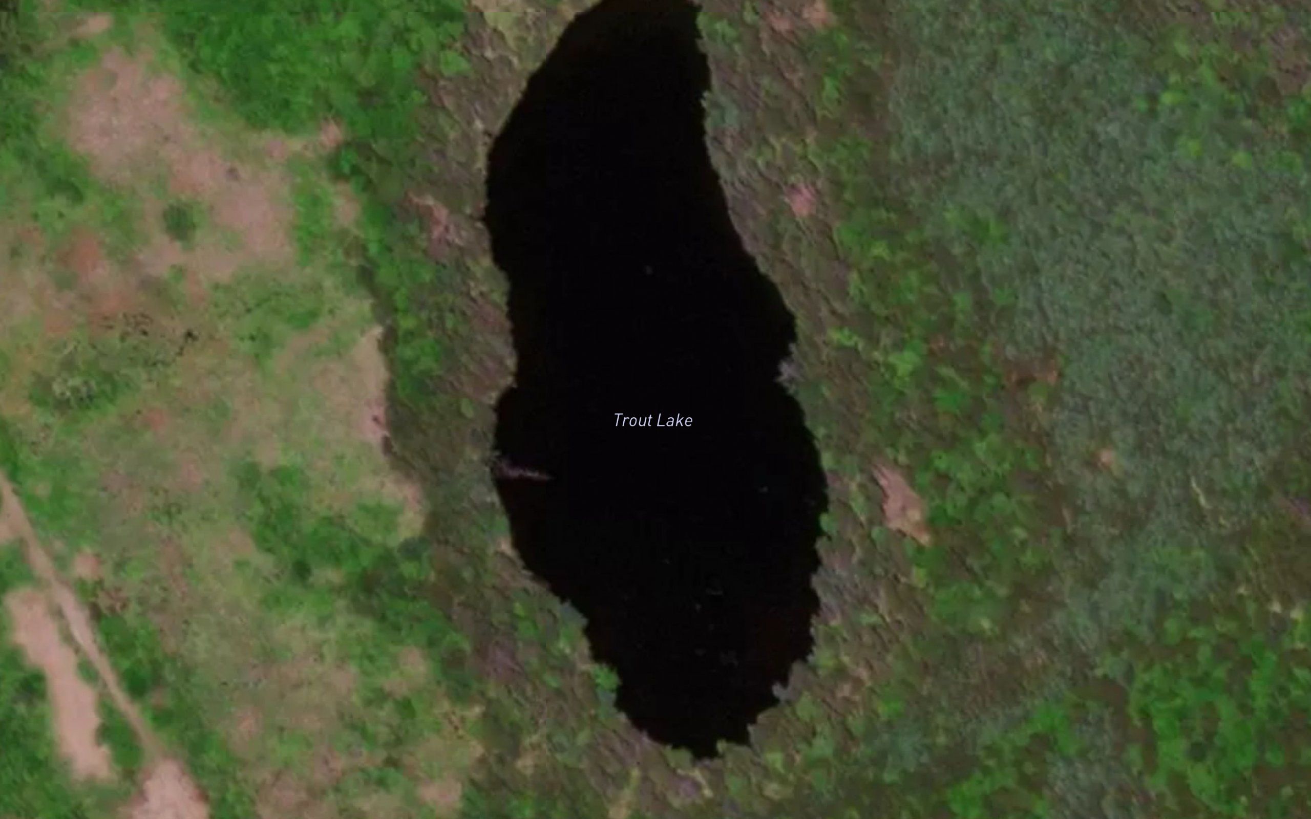 Trout Lake