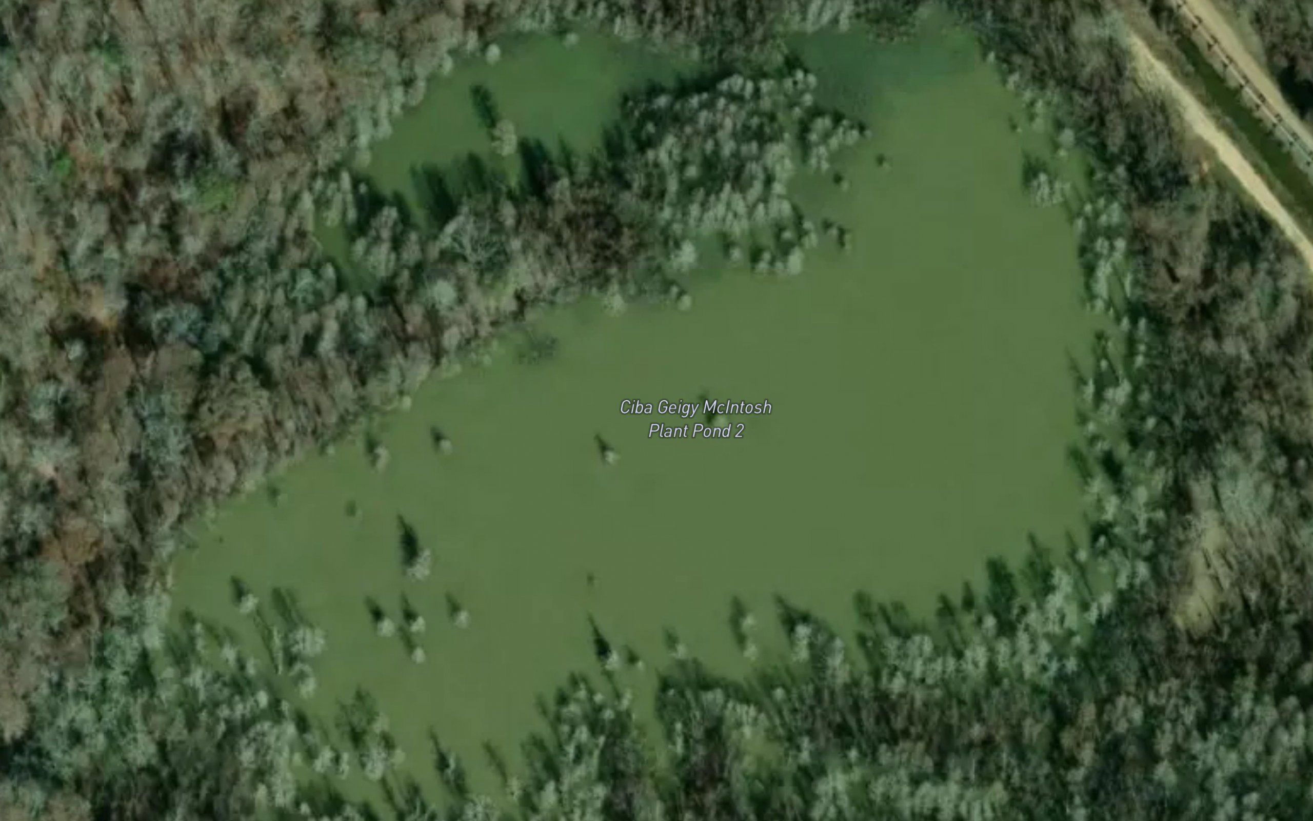 Ciba Geigy McIntosh Plant Pond 2