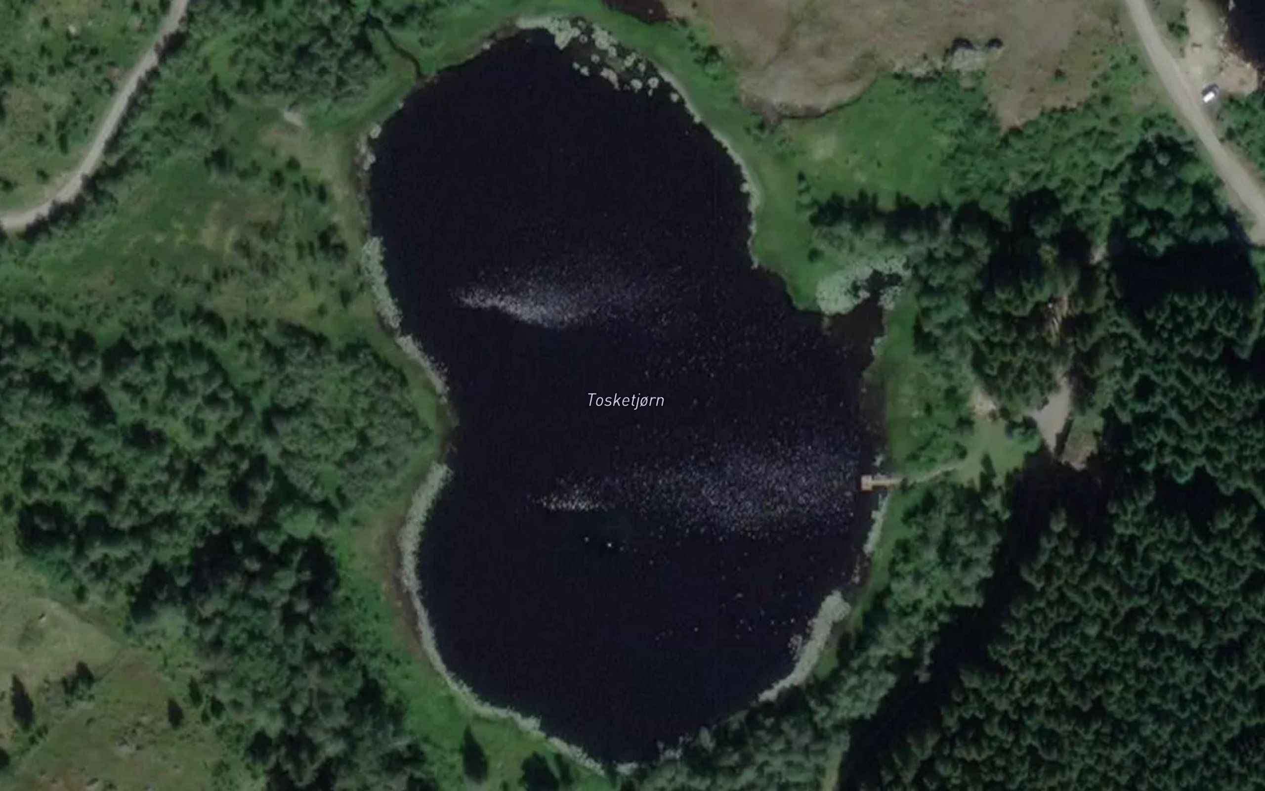 Tosketjorn