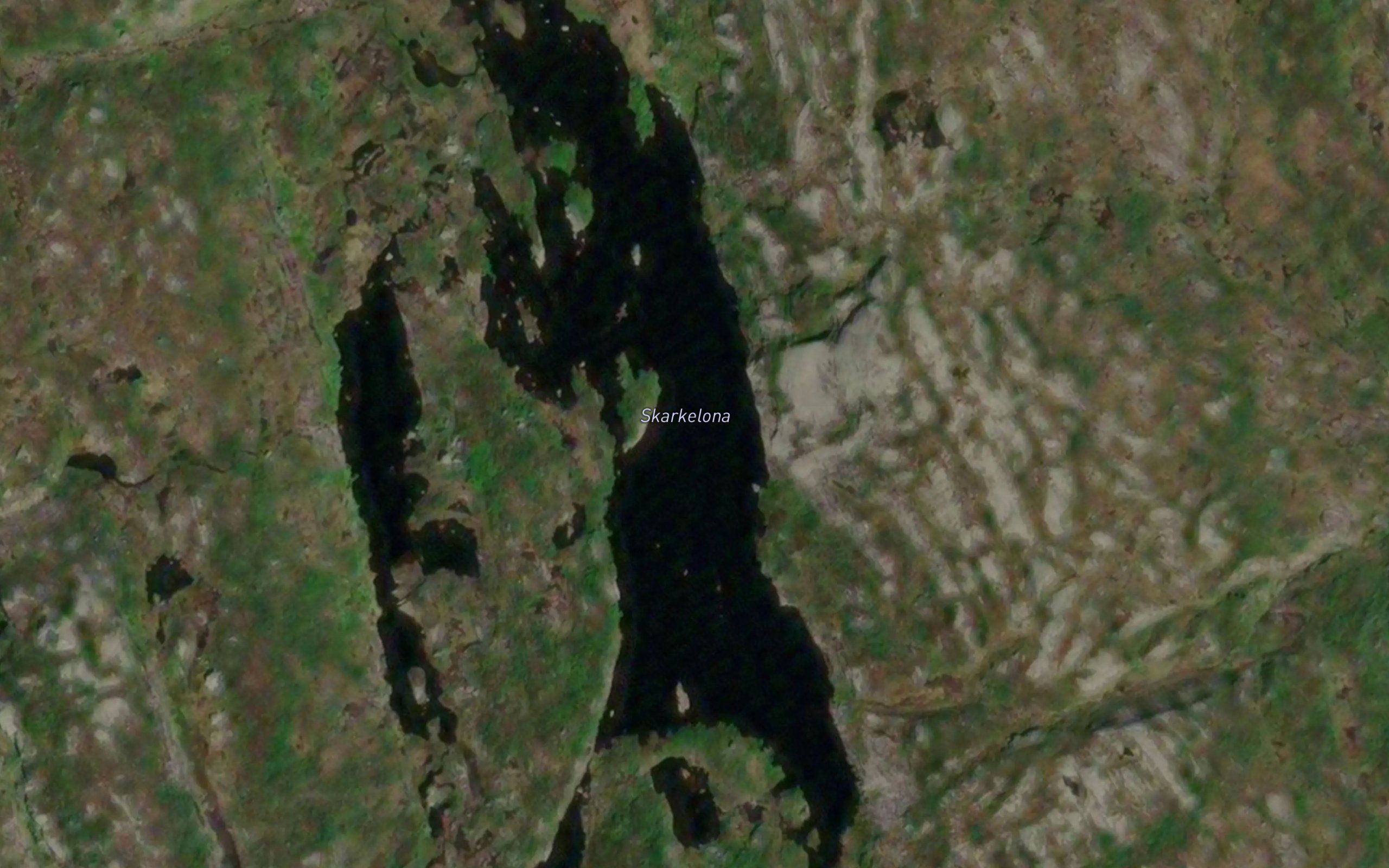 Skarkelona