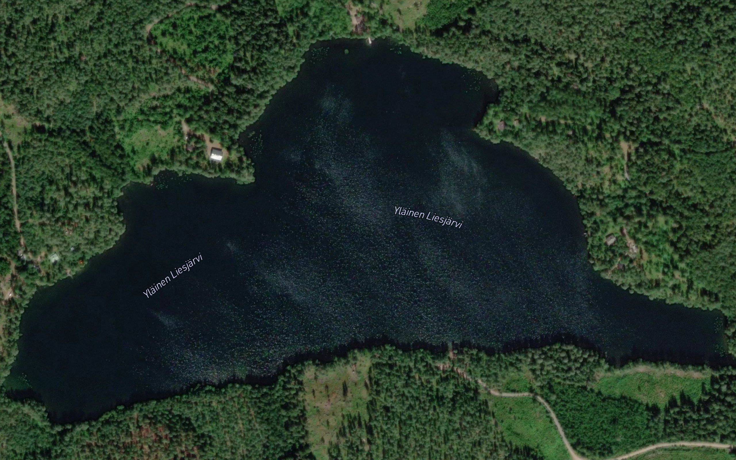 Ylainen Liesjarvi