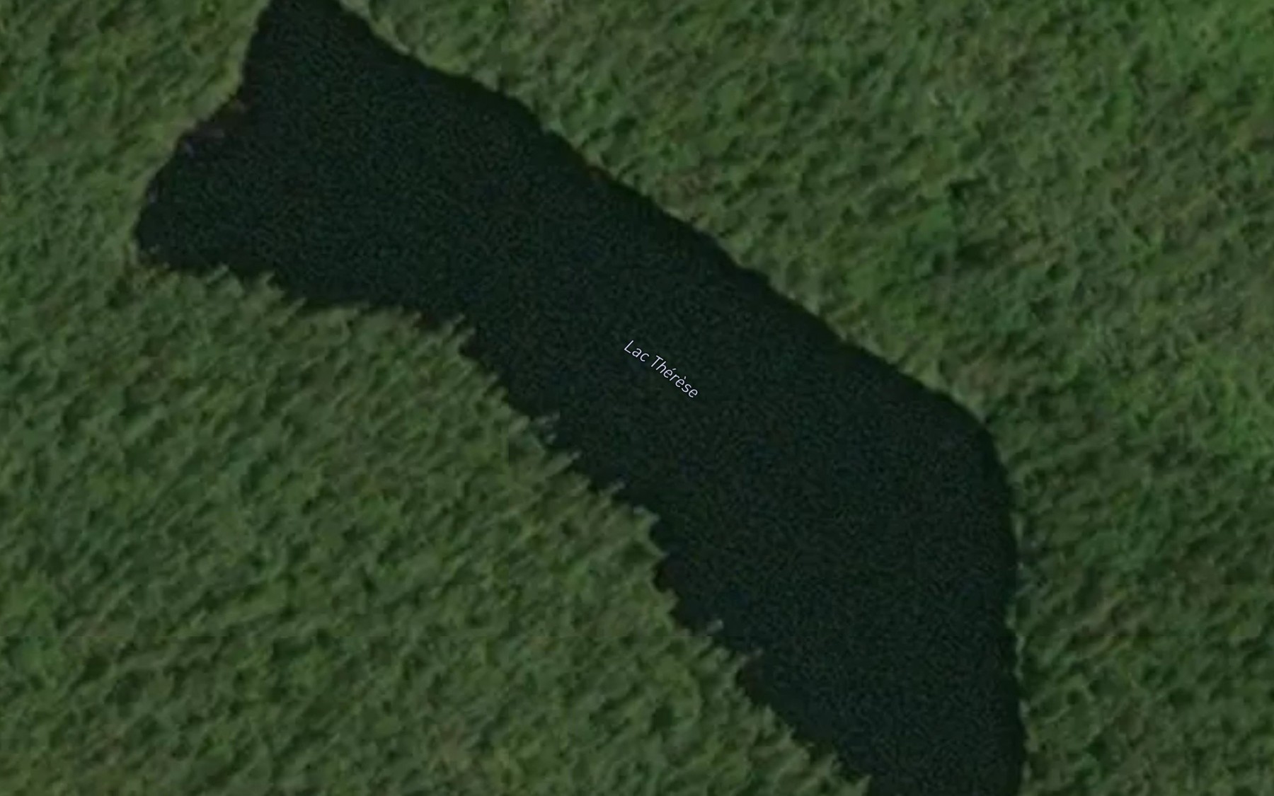 Satellite map of the Lac Therese