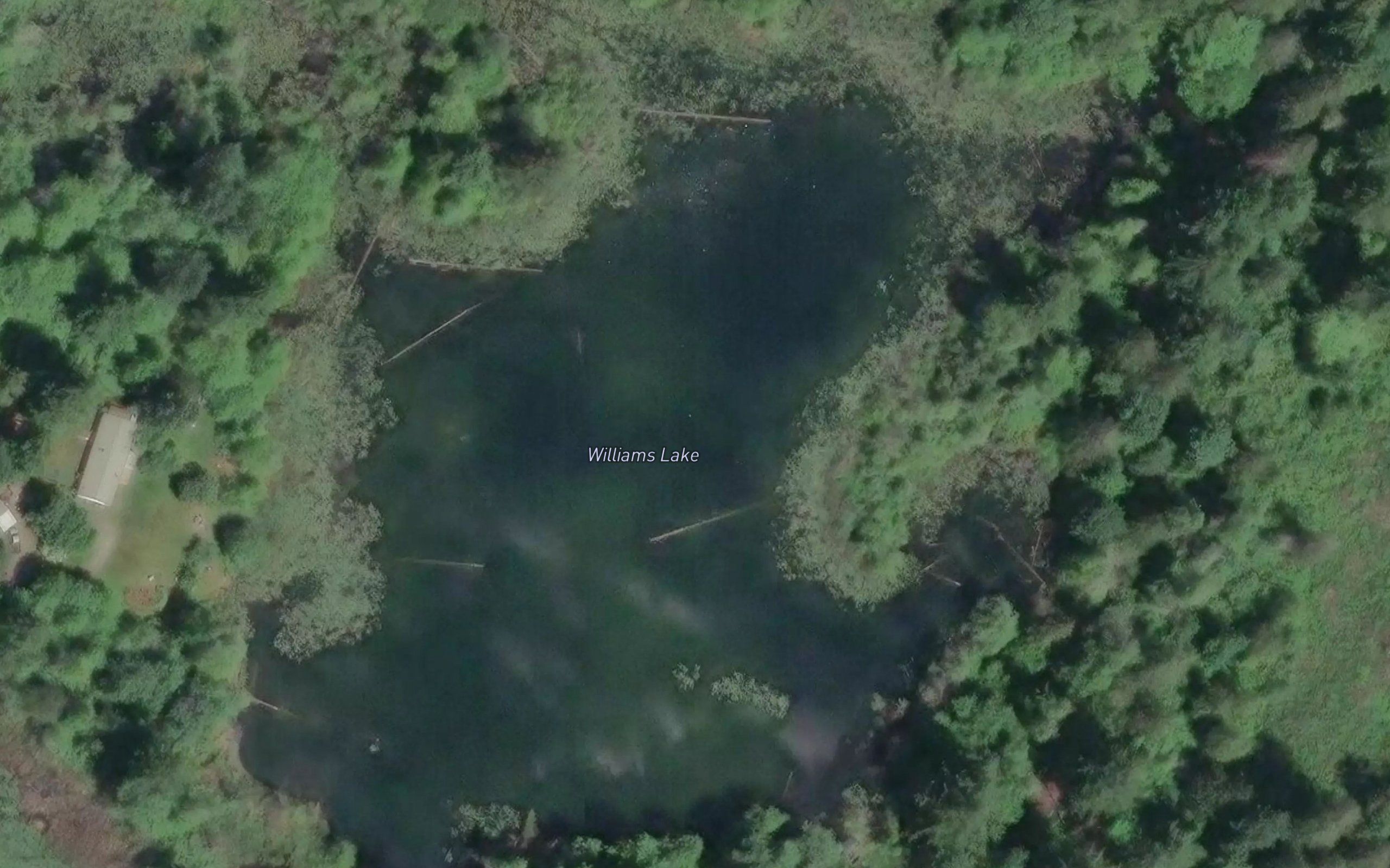 Williams Lake