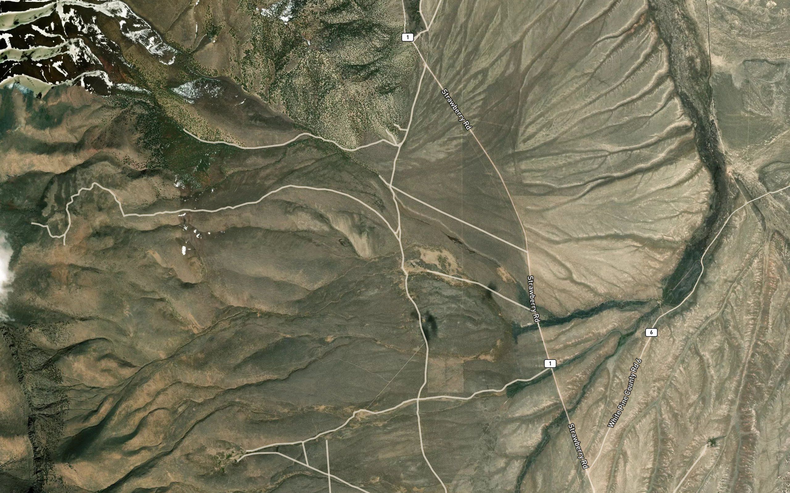 Meadow Springs