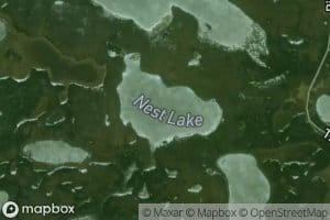 Nest Lake