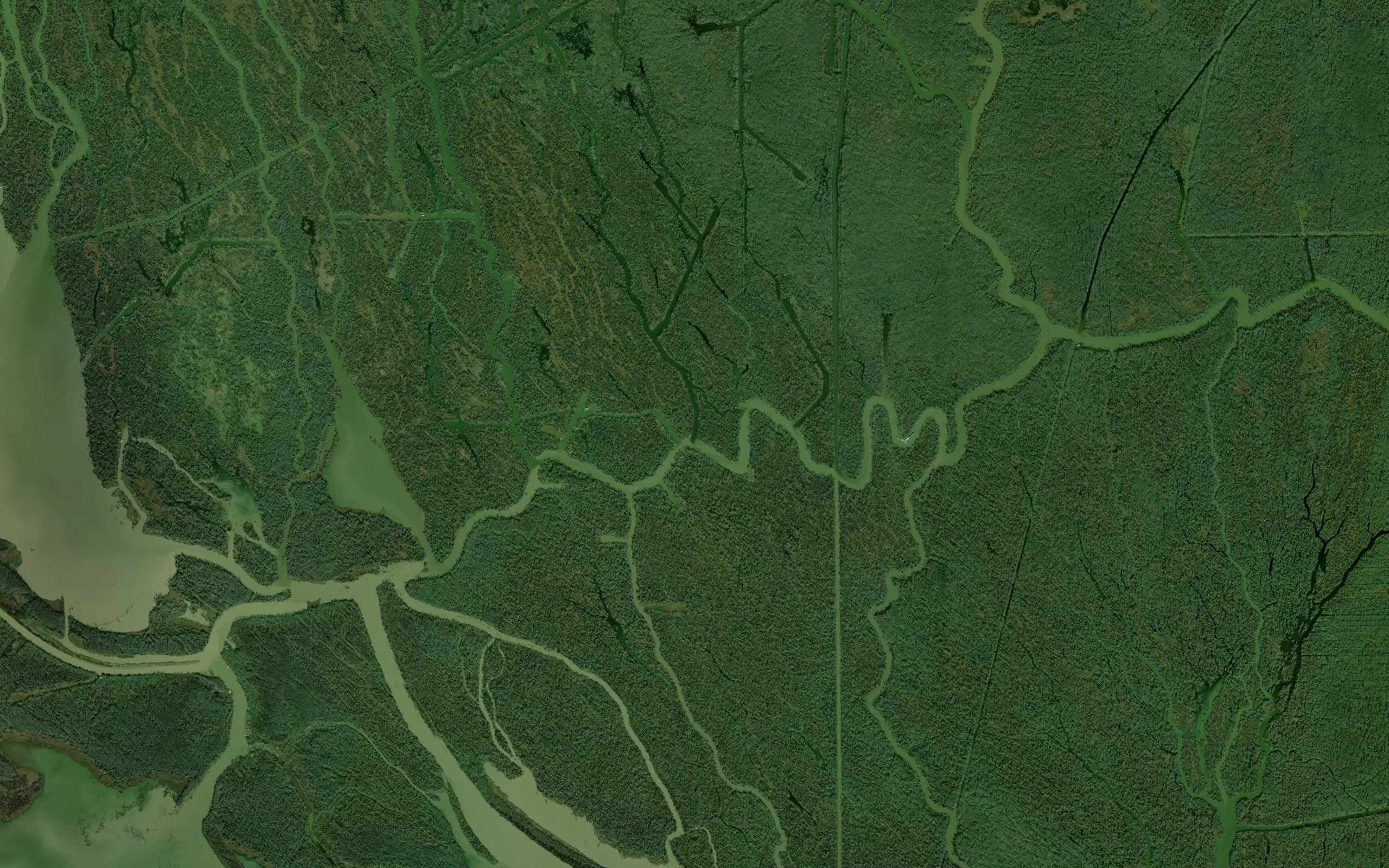 Bayou May