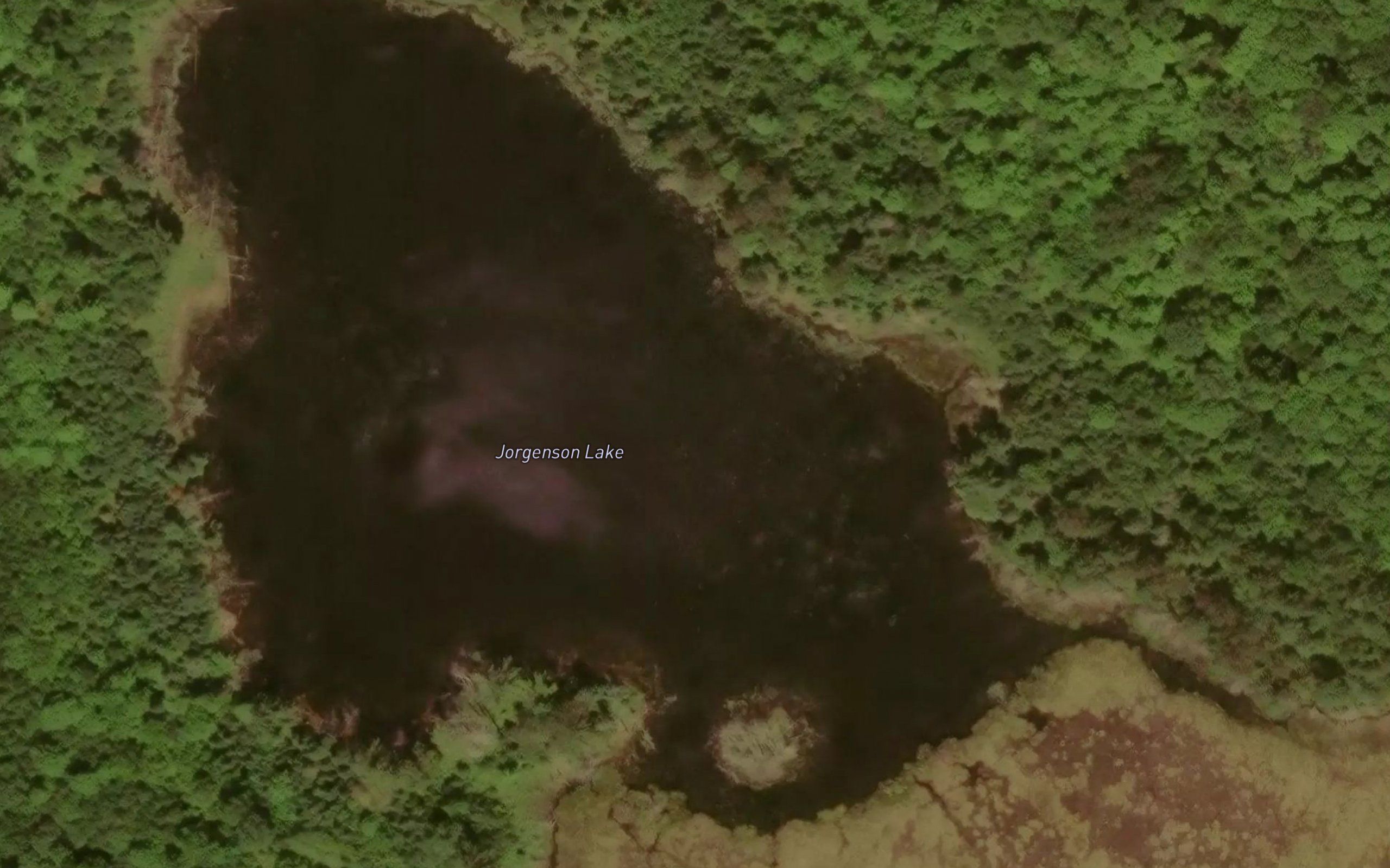 Jorgenson Lake