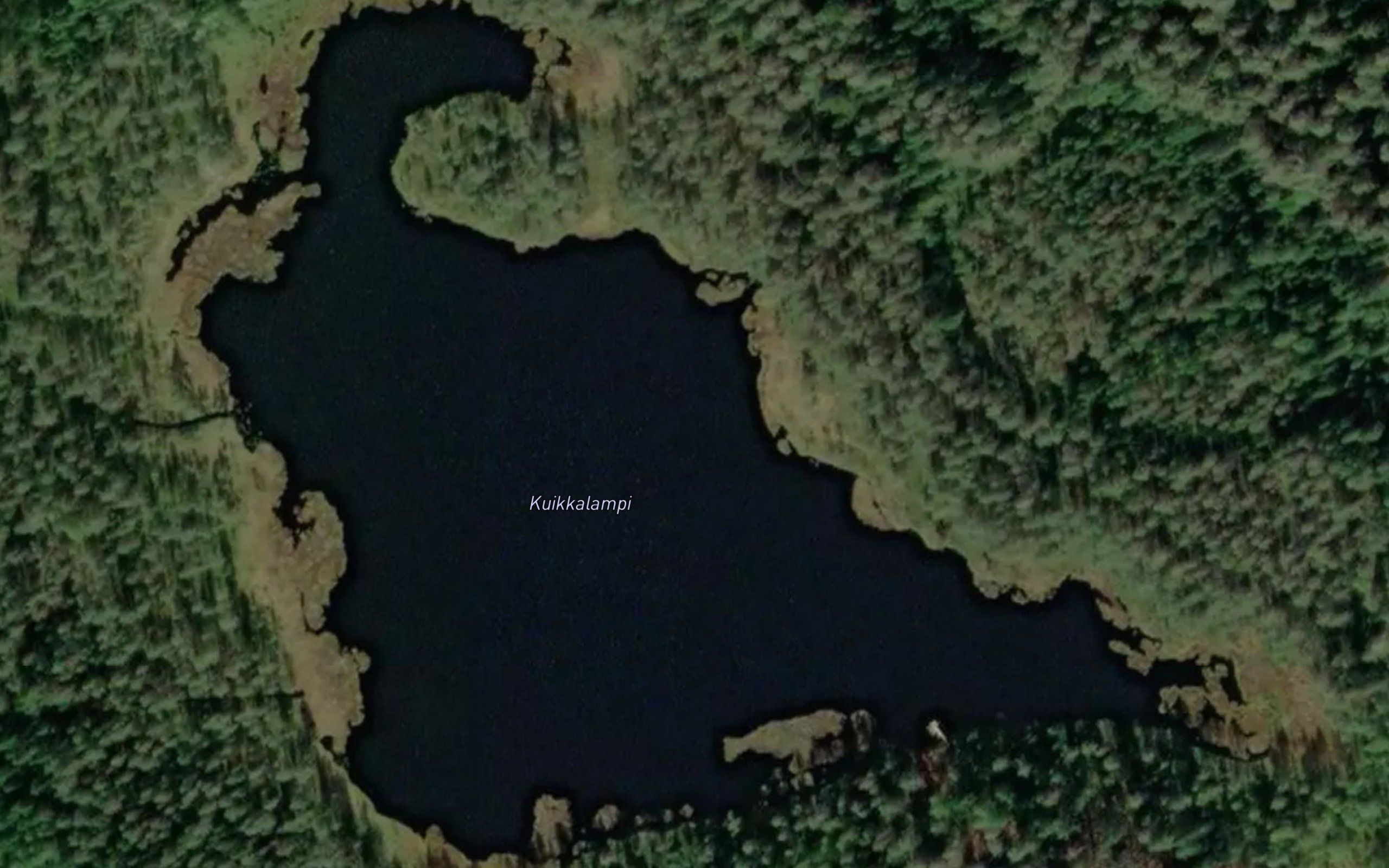 Kuikkalampi