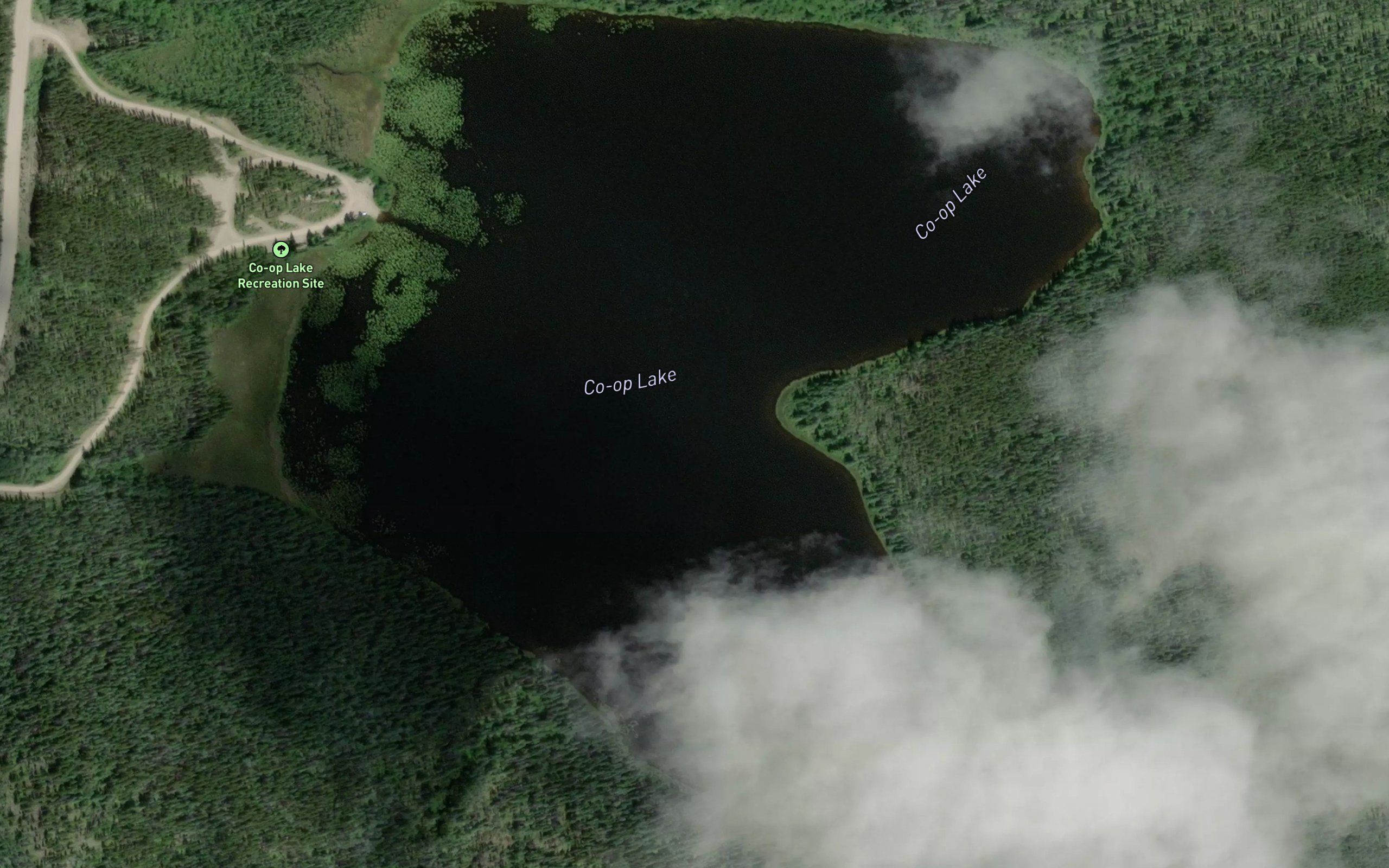 Co-op Lake