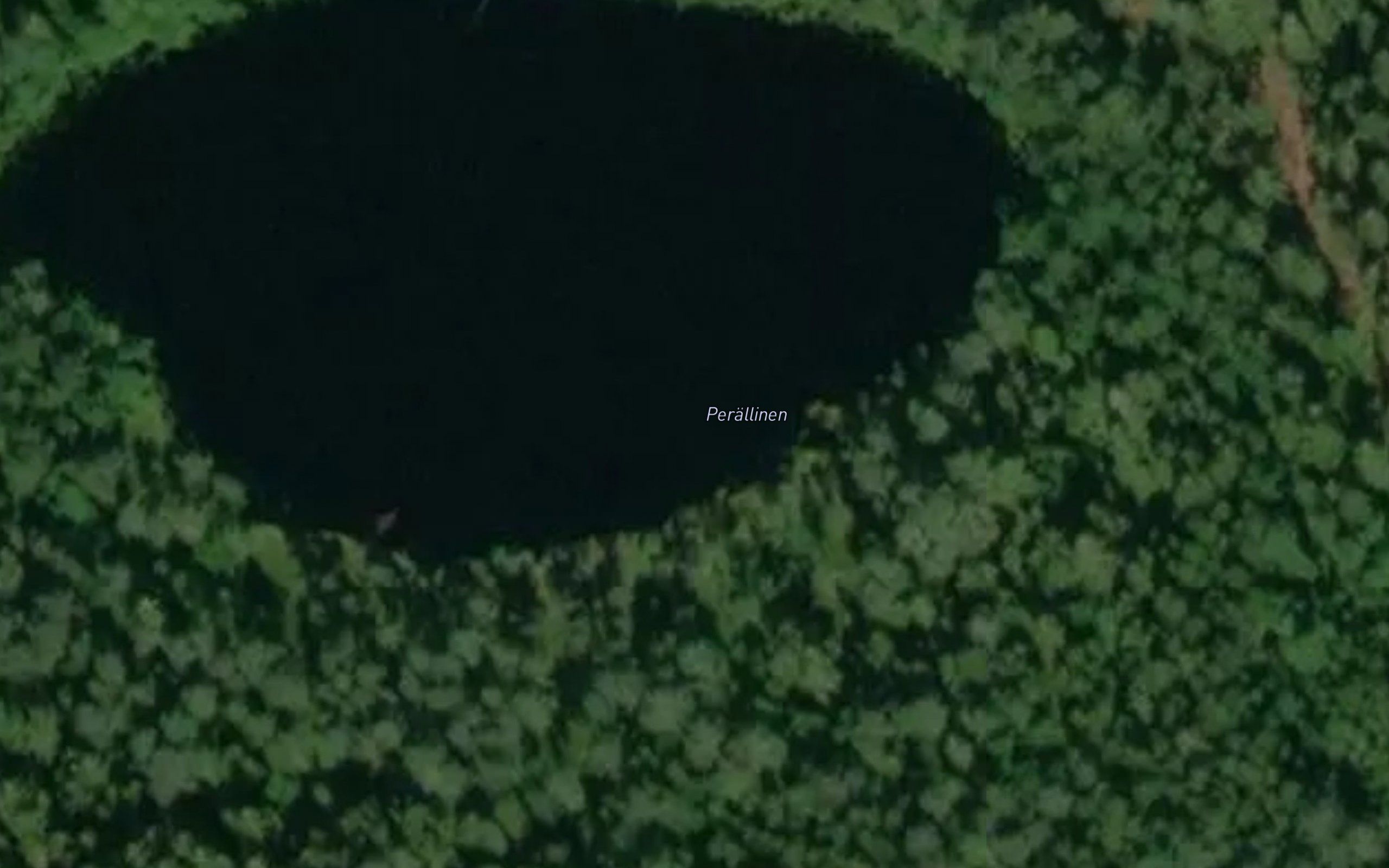 Perallinen
