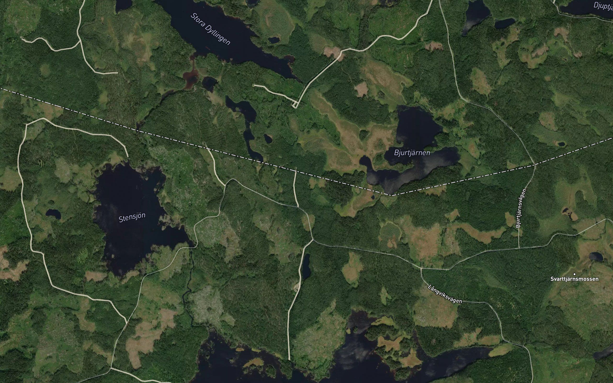 Hogtjarn
