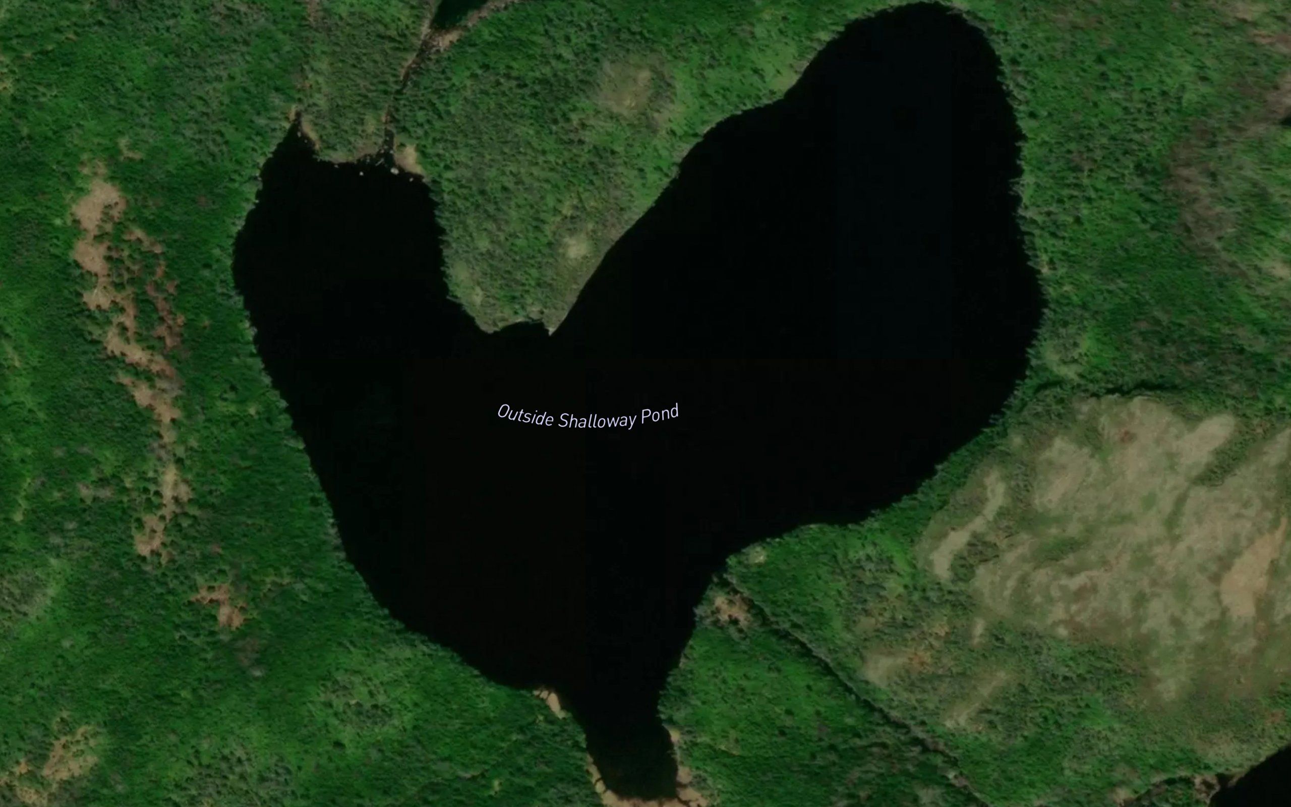 Outside Shalloway Pond