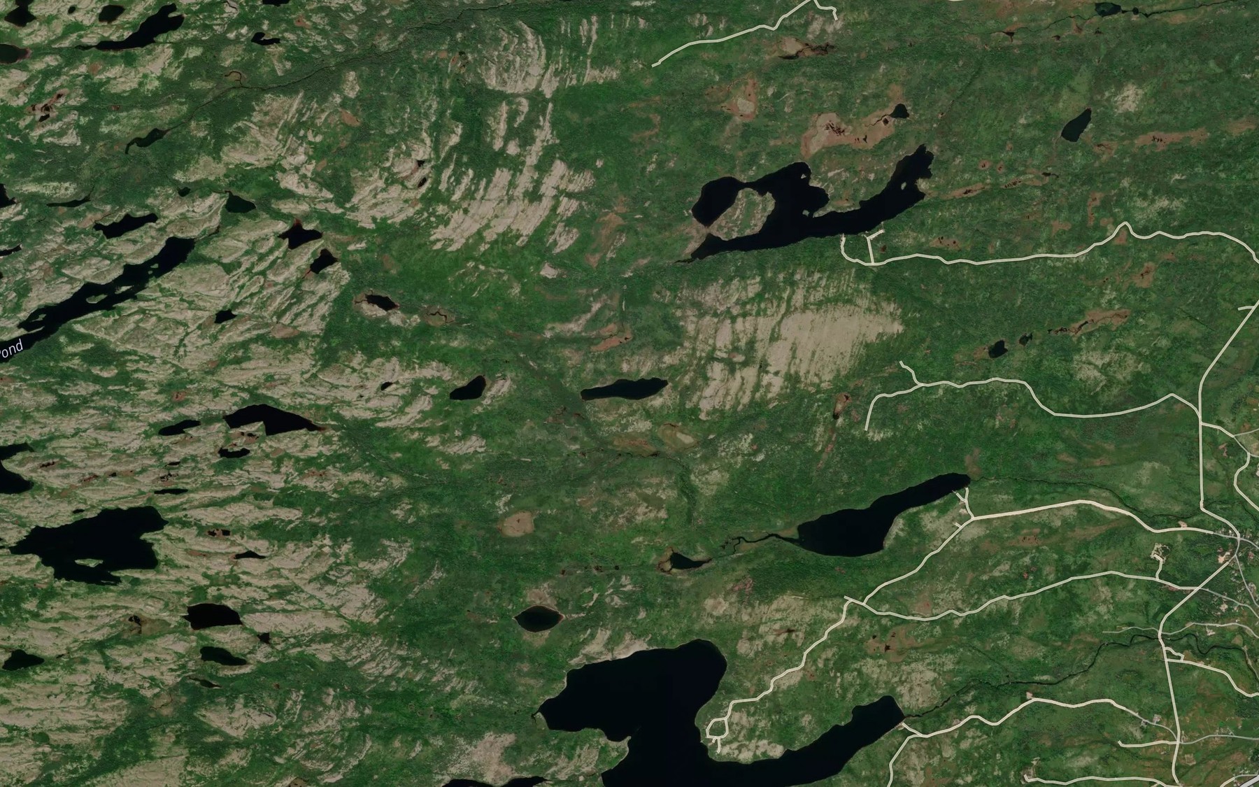 Satellite map of the Adams Cove Rocky Pond