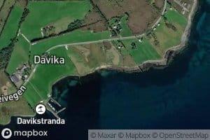 Lusvika